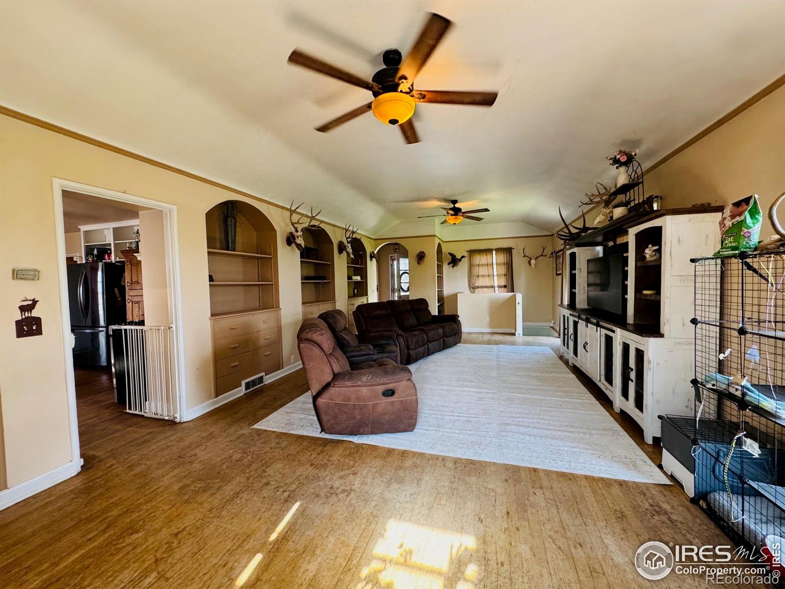 MLS Image #9 for 432  lafever street,walden, Colorado