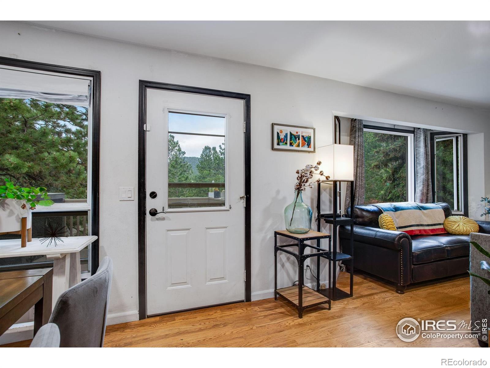 MLS Image #10 for 1224  brook drive,estes park, Colorado