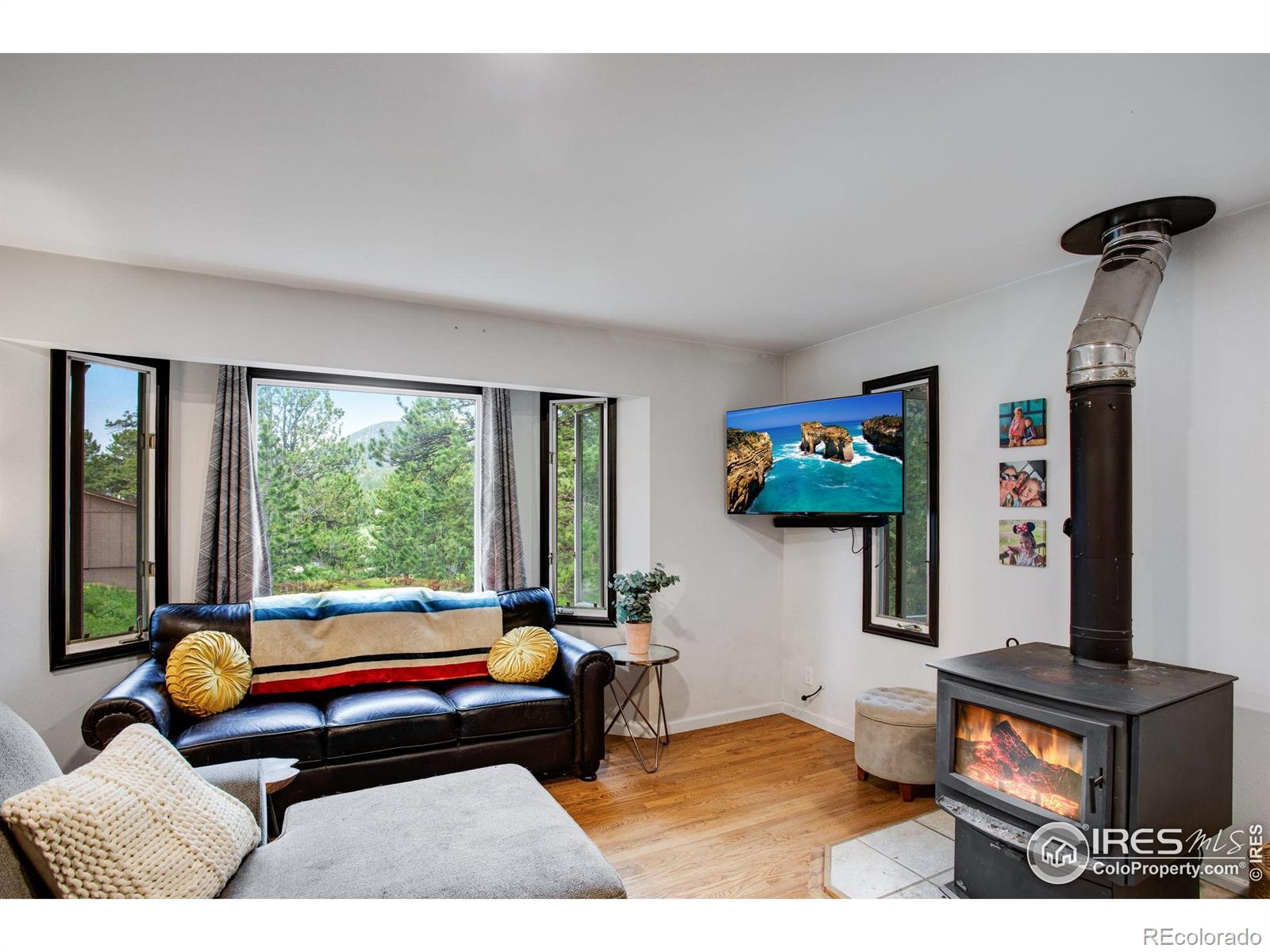 MLS Image #14 for 1224  brook drive,estes park, Colorado