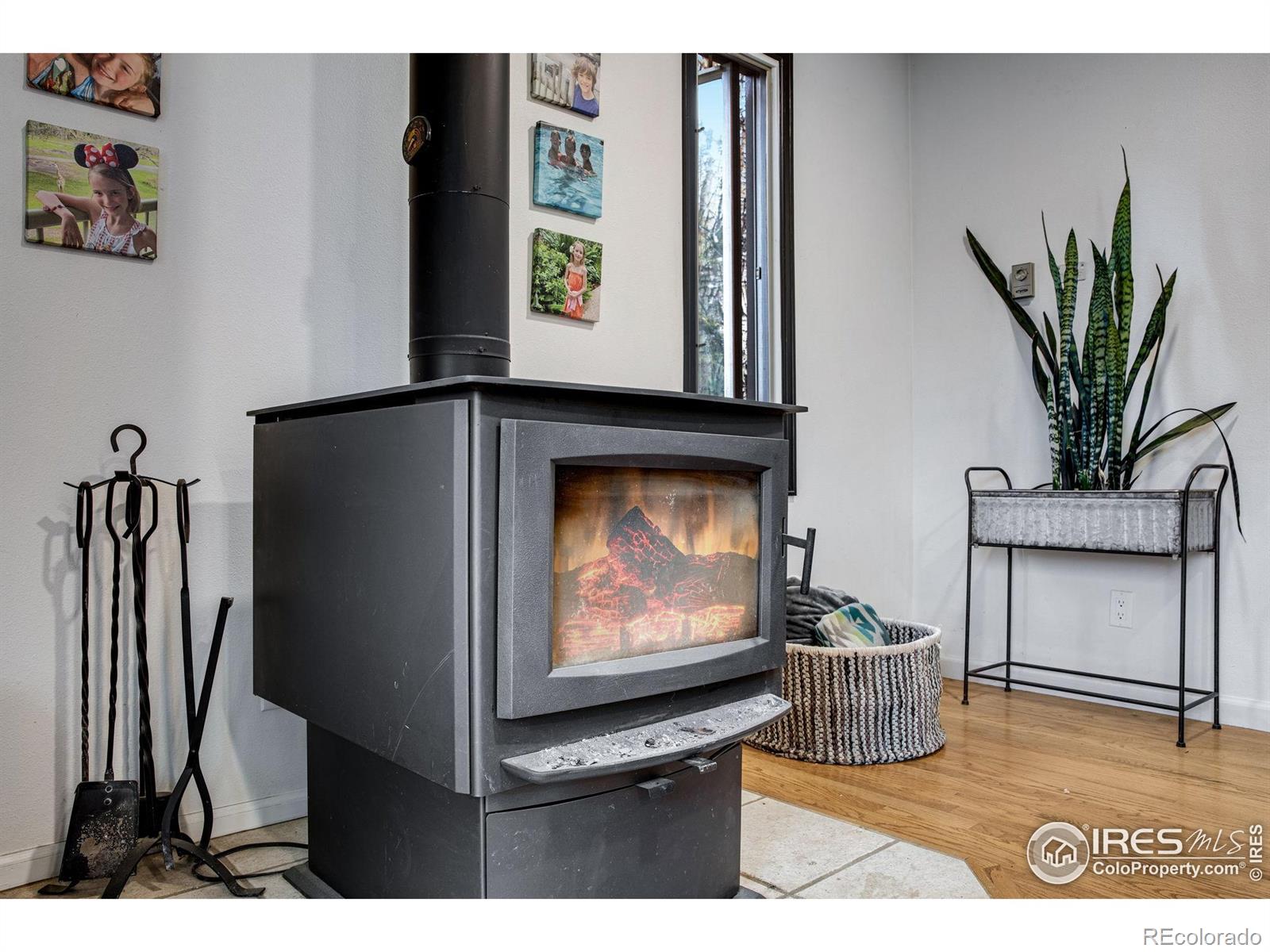 MLS Image #15 for 1224  brook drive,estes park, Colorado