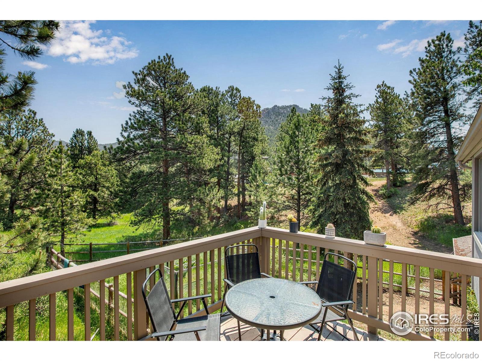 MLS Image #3 for 1224  brook drive,estes park, Colorado