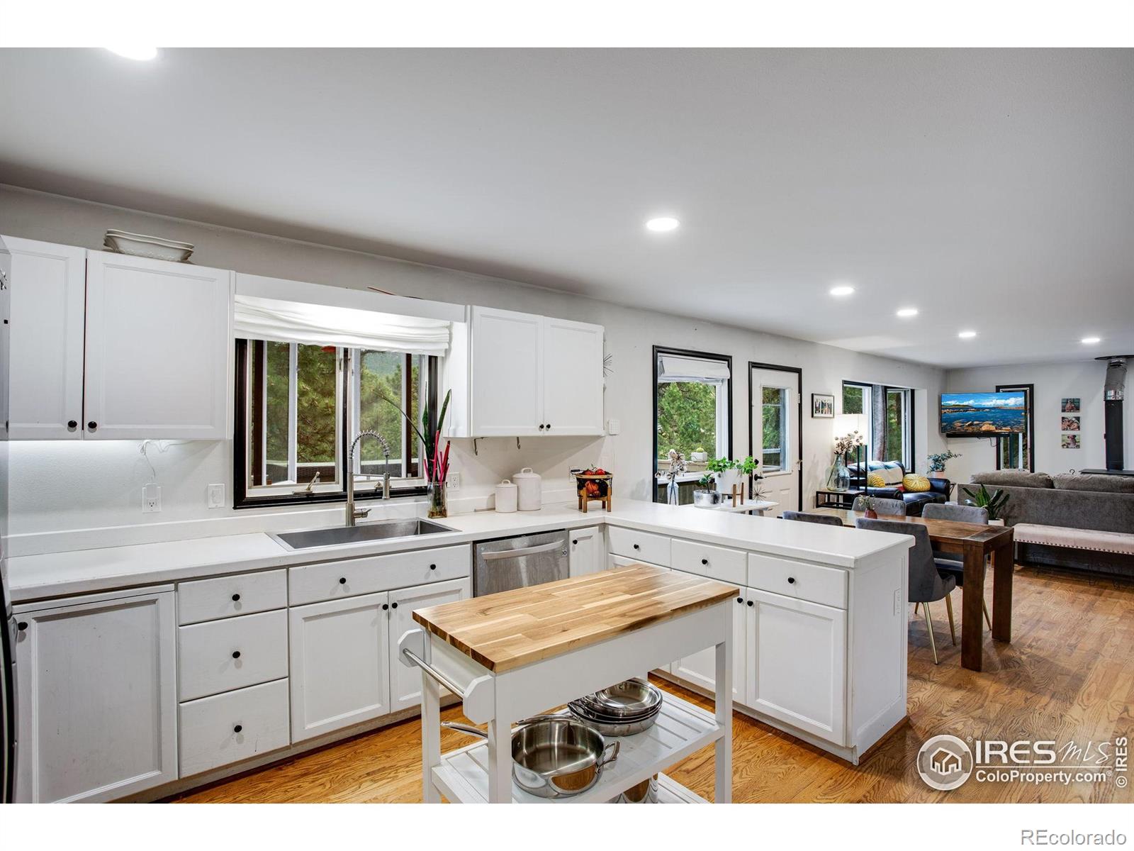 MLS Image #4 for 1224  brook drive,estes park, Colorado