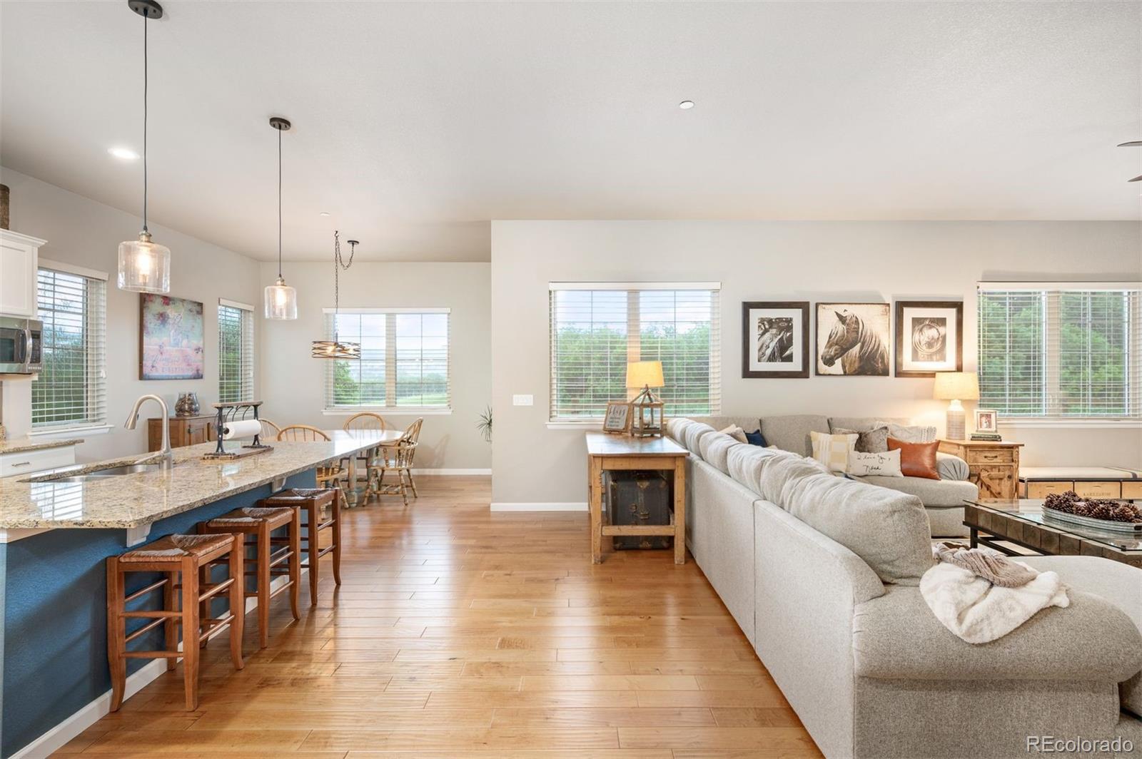 MLS Image #10 for 1788  holmby court,castle rock, Colorado