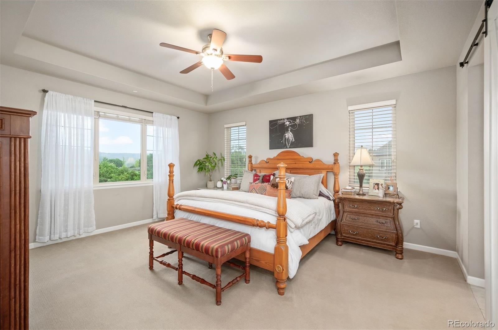 MLS Image #20 for 1788  holmby court,castle rock, Colorado