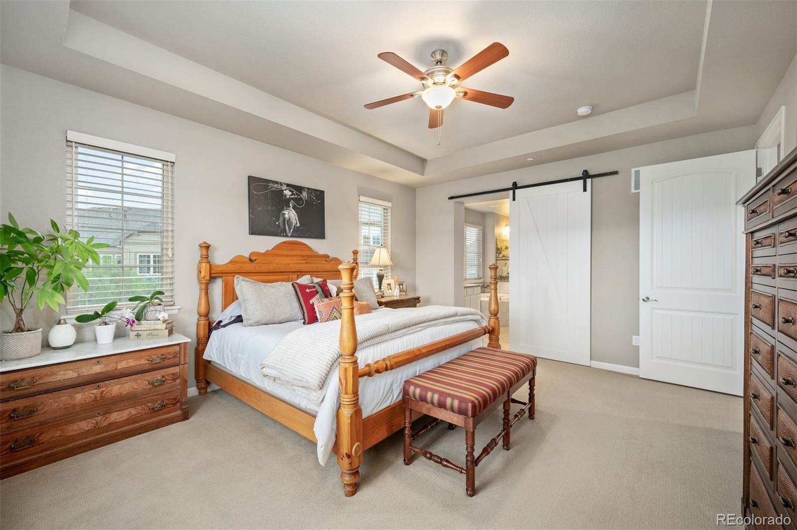MLS Image #21 for 1788  holmby court,castle rock, Colorado