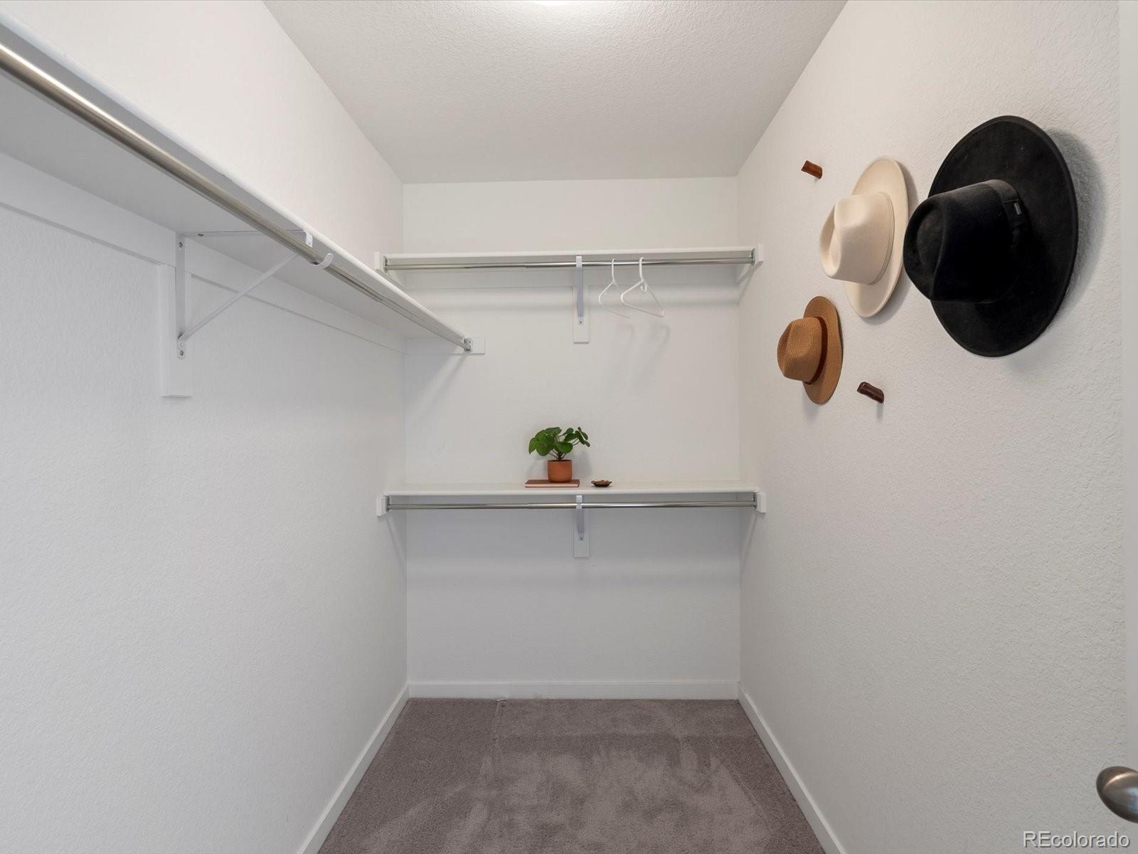 MLS Image #25 for 1649  marquette alley,erie, Colorado