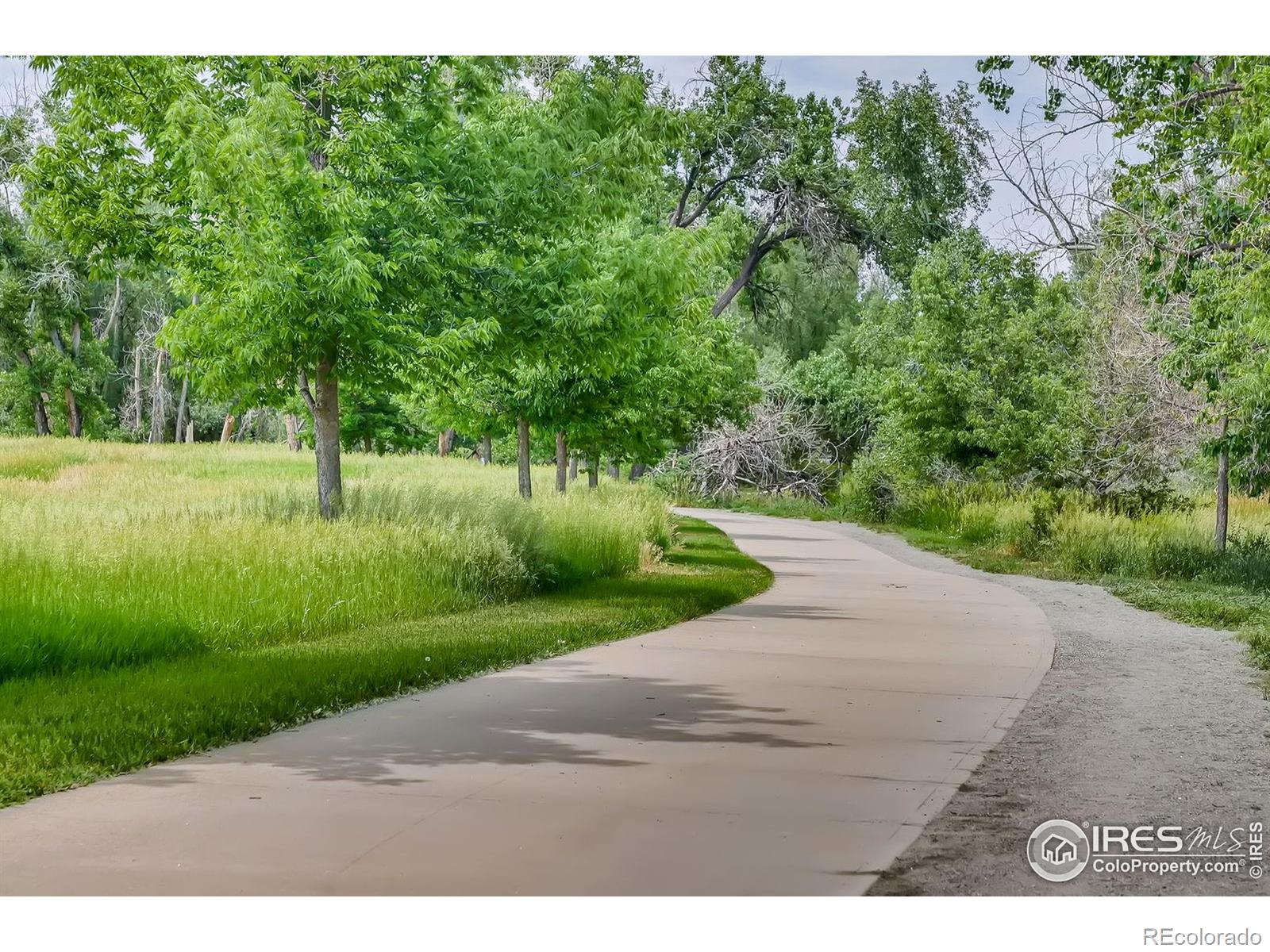 MLS Image #31 for 340  vivian street,longmont, Colorado