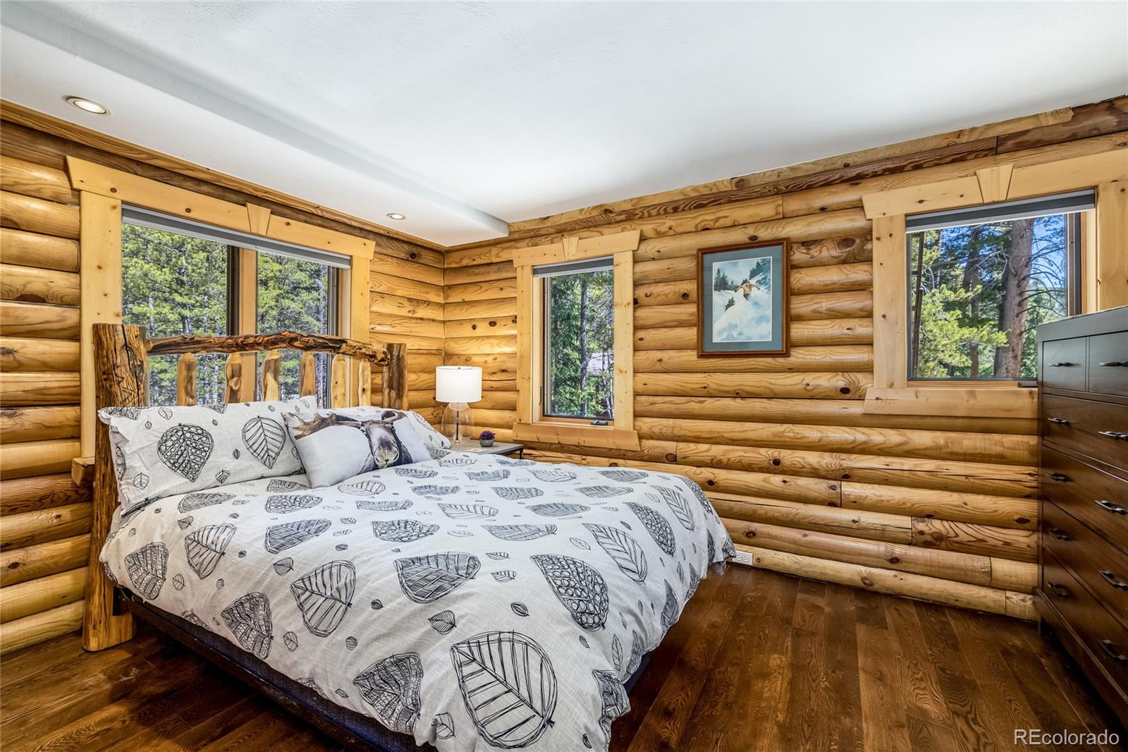 MLS Image #17 for 5724  highway 9 ,breckenridge, Colorado