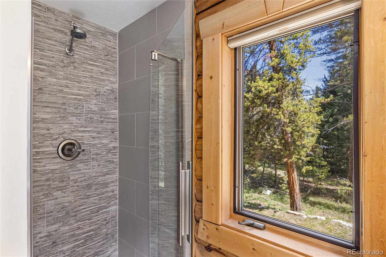 MLS Image #19 for 5724  highway 9 ,breckenridge, Colorado