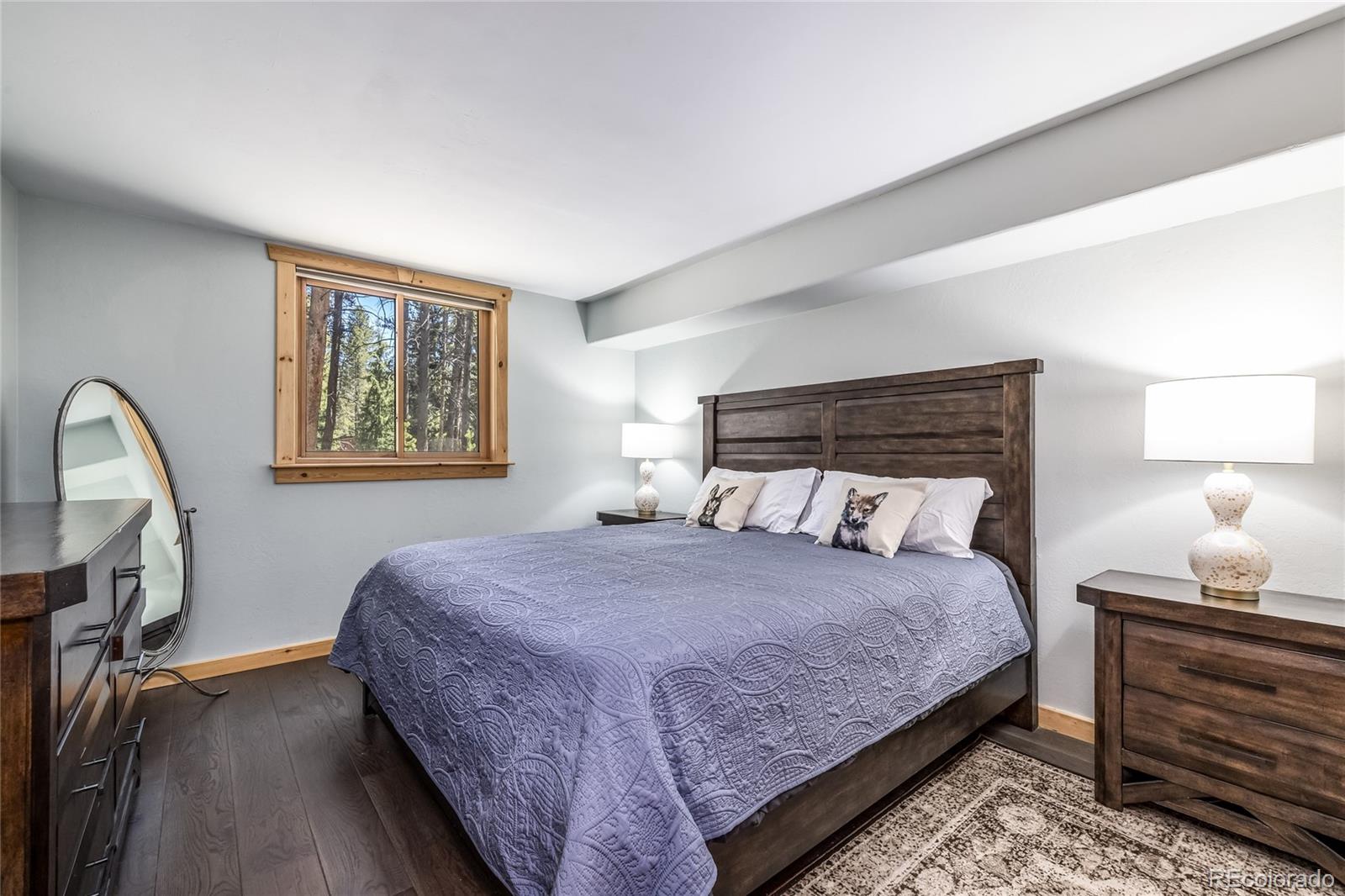 MLS Image #26 for 5724  highway 9 ,breckenridge, Colorado