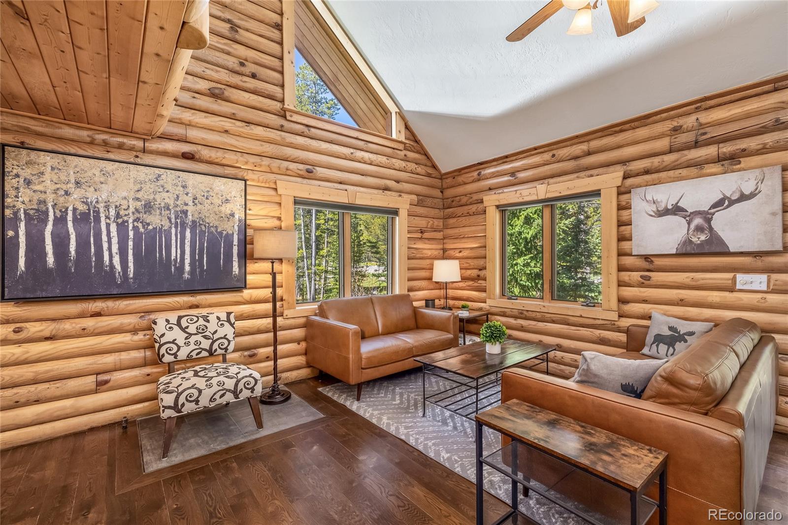 MLS Image #4 for 5724  highway 9 ,breckenridge, Colorado