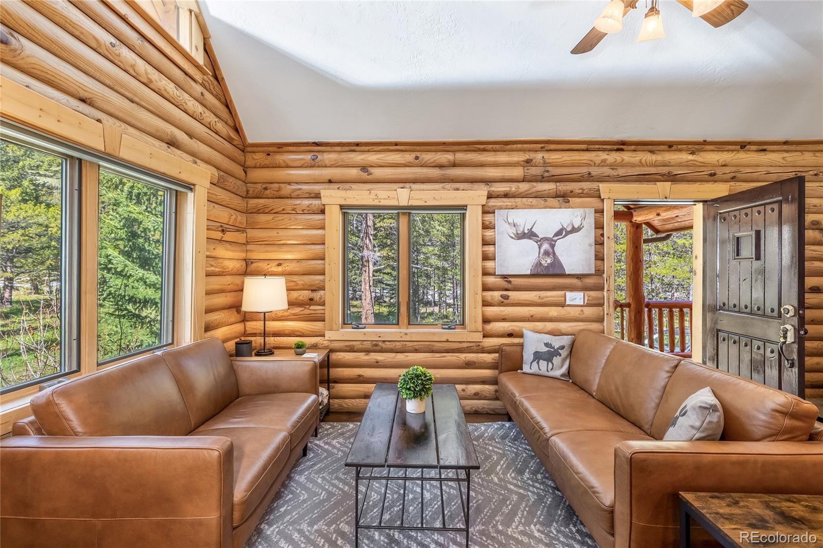MLS Image #5 for 5724  highway 9 ,breckenridge, Colorado