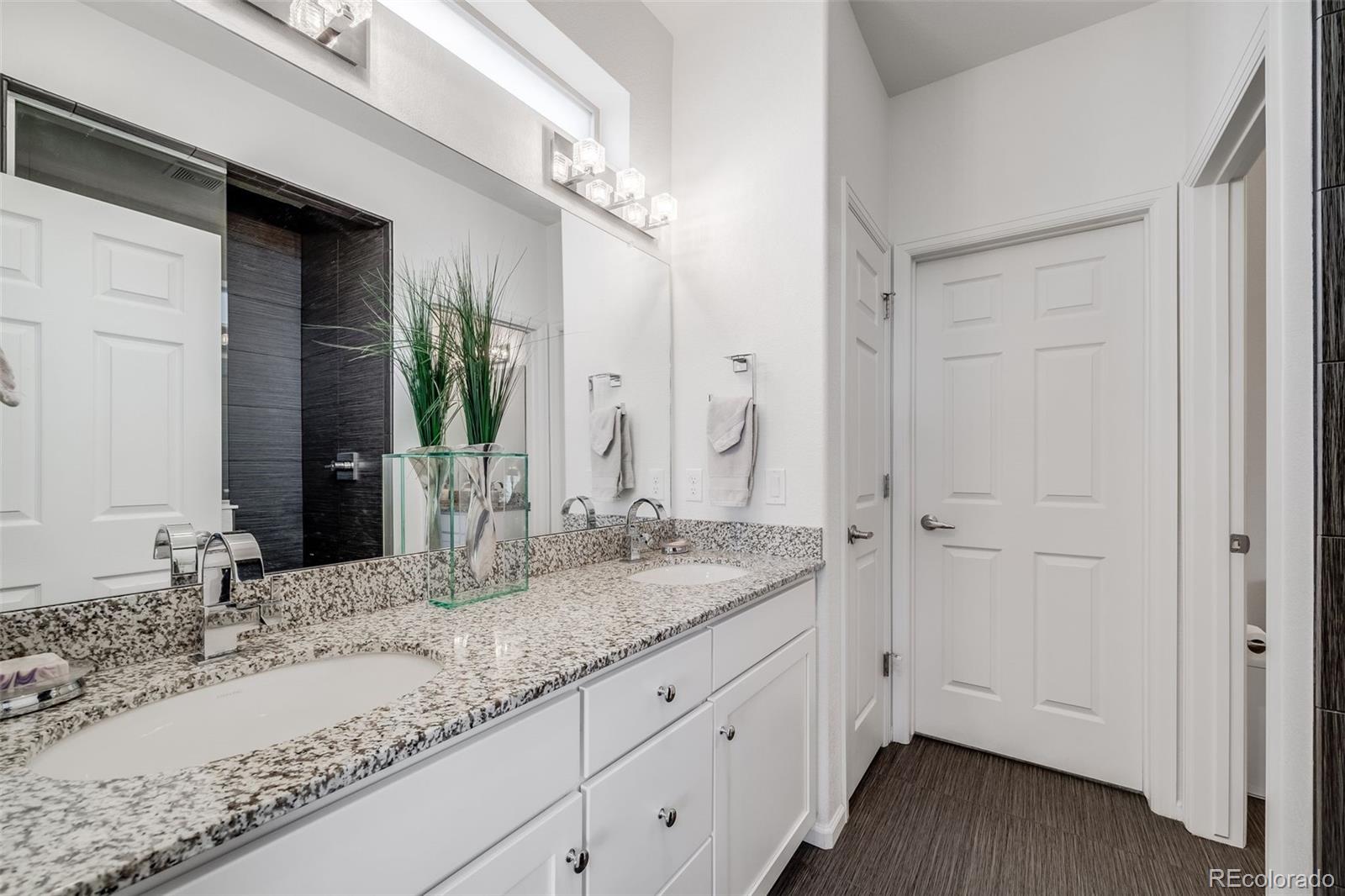 MLS Image #16 for 5280  genoa street,denver, Colorado