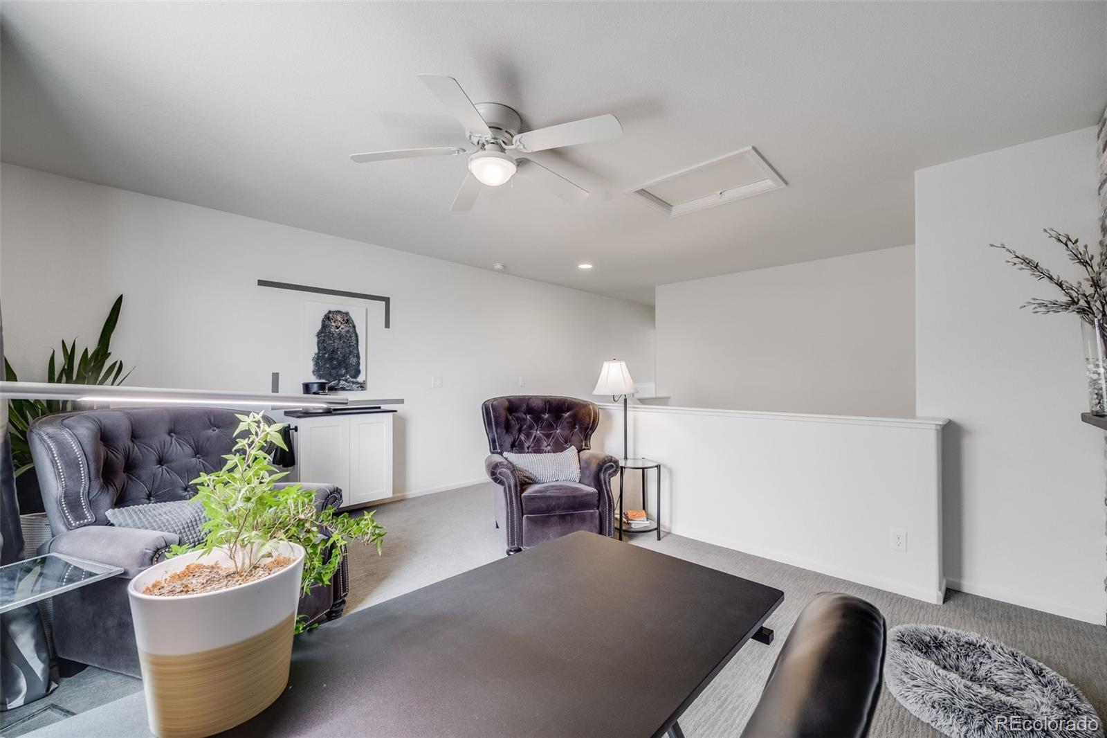 MLS Image #19 for 5280  genoa street,denver, Colorado