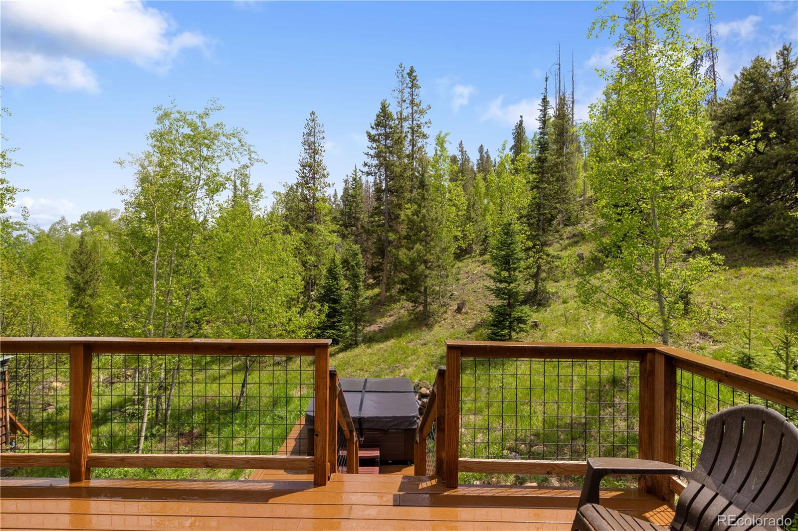MLS Image #2 for 2222  gcr 85 ,tabernash, Colorado