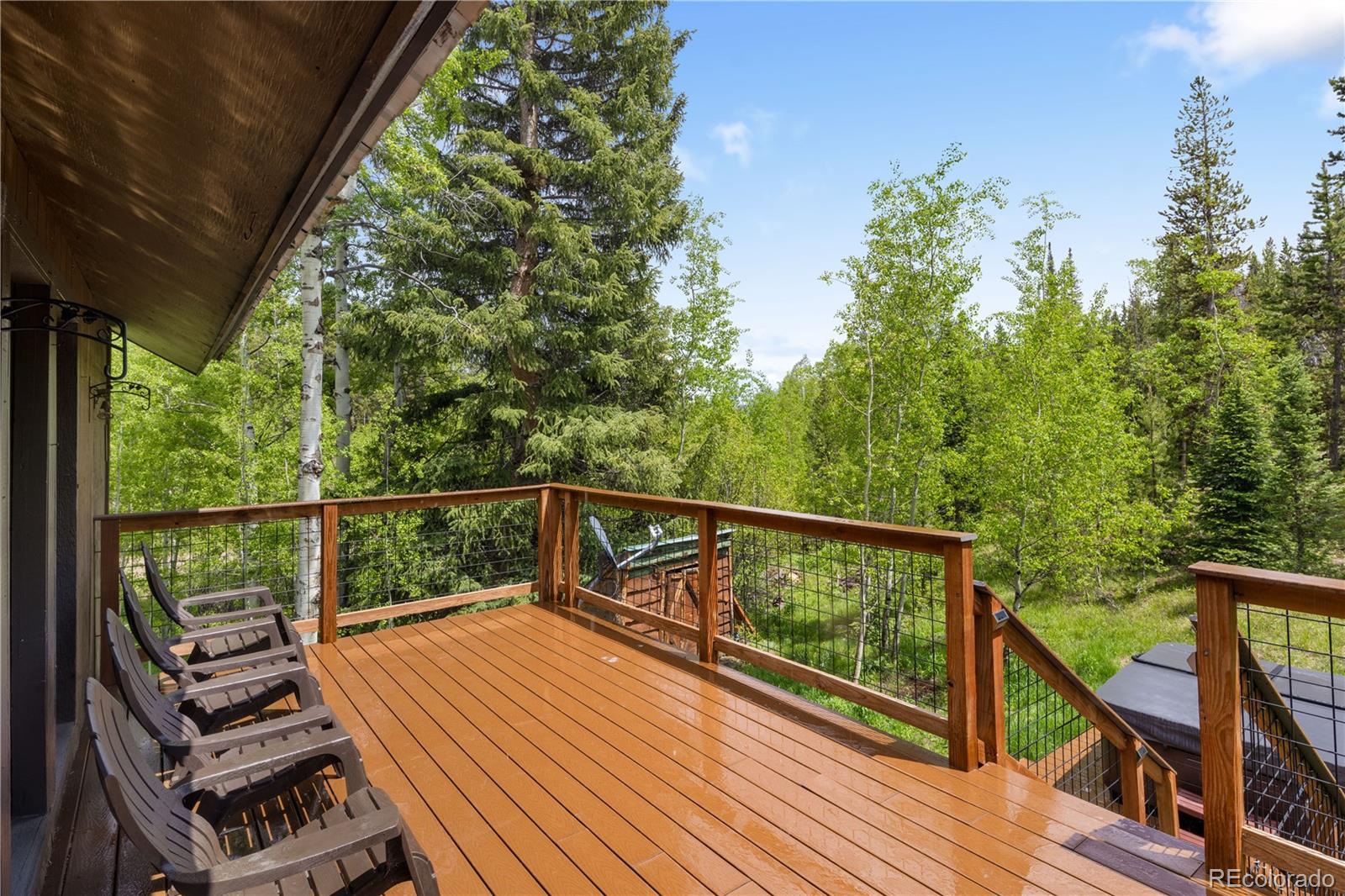 MLS Image #4 for 2222  gcr 85 ,tabernash, Colorado
