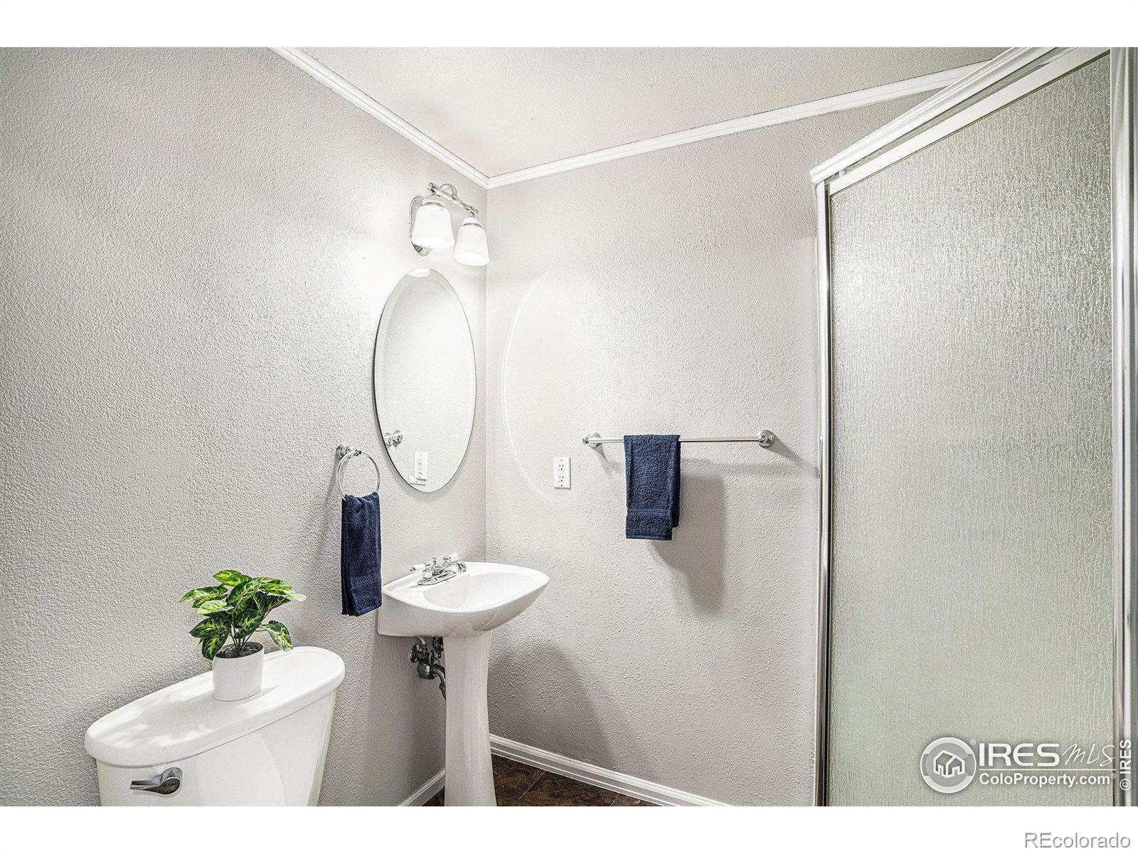 MLS Image #24 for 4097  rockvale drive,loveland, Colorado