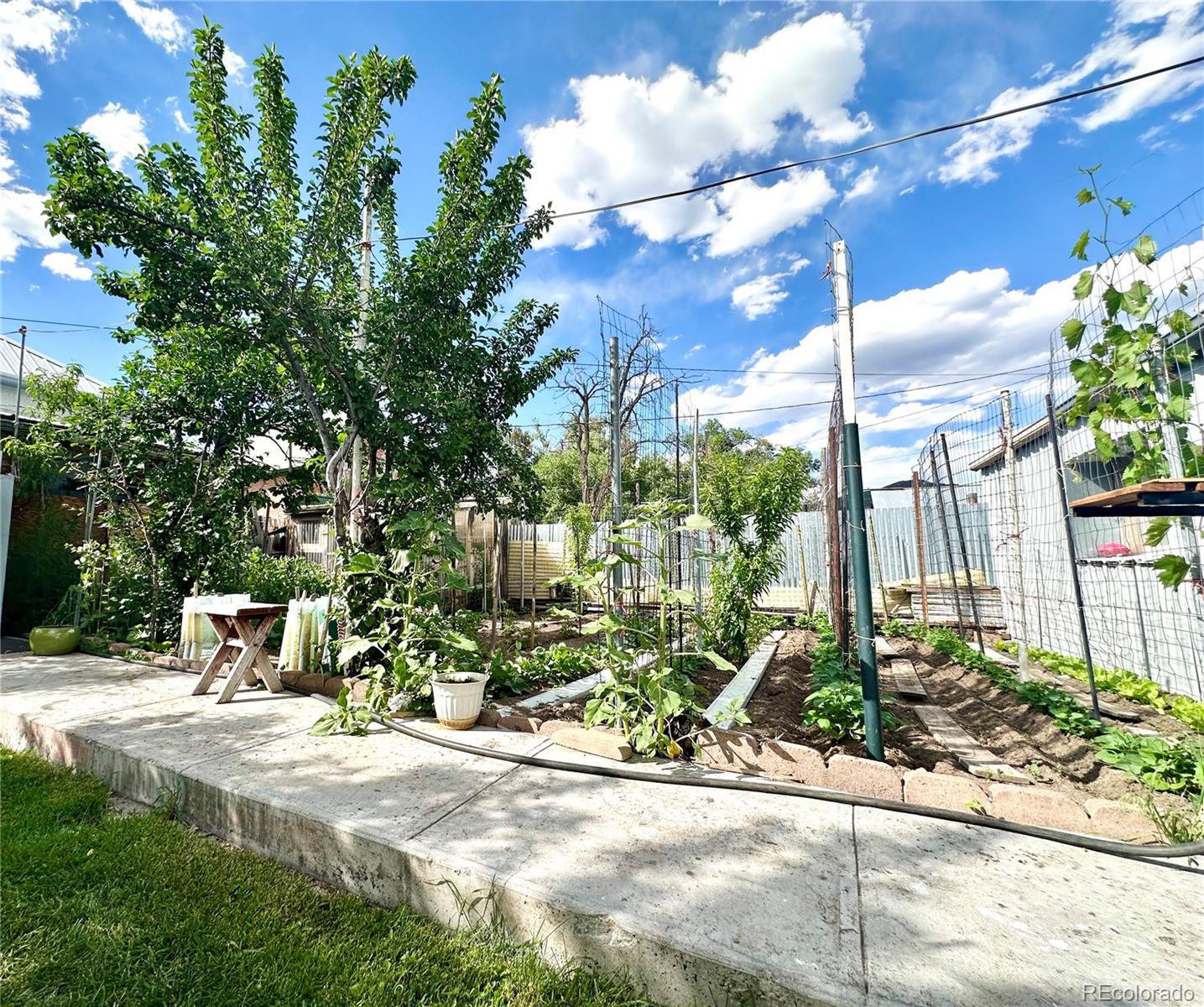 MLS Image #28 for 647  d street,salida, Colorado