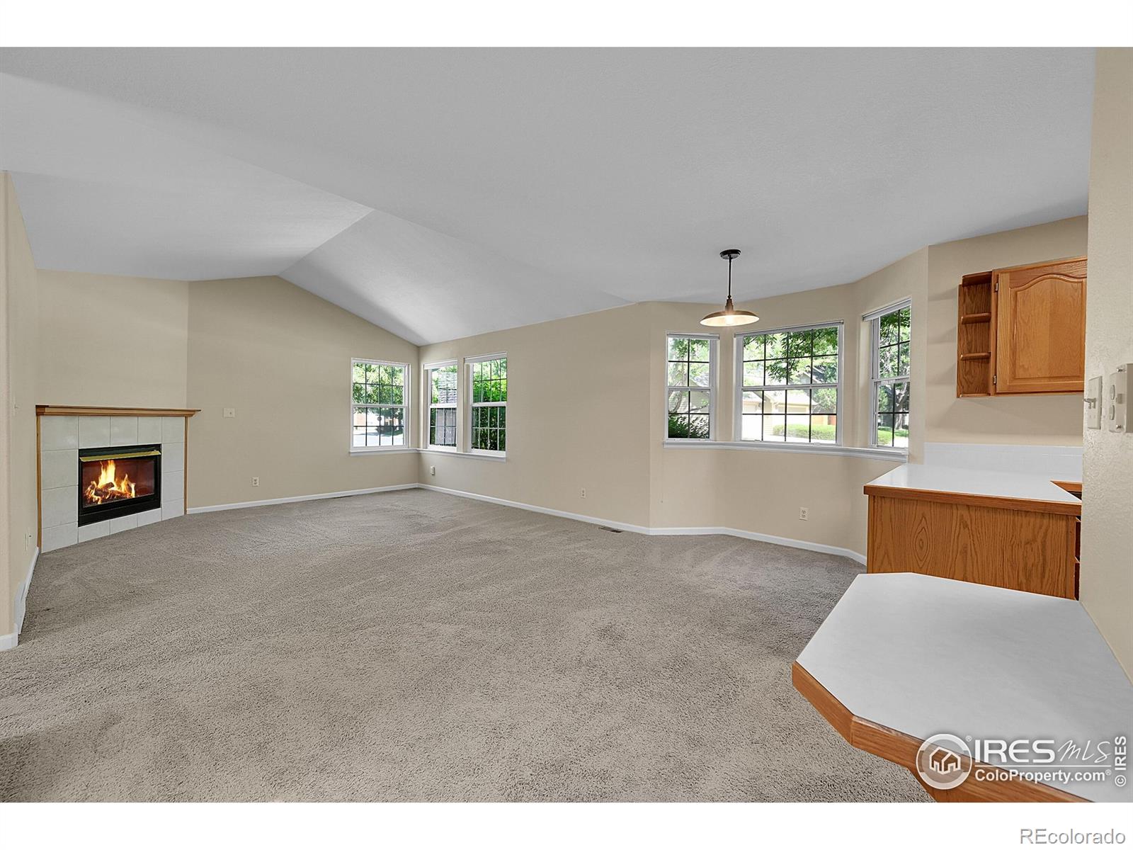 MLS Image #11 for 3132  concord way,longmont, Colorado