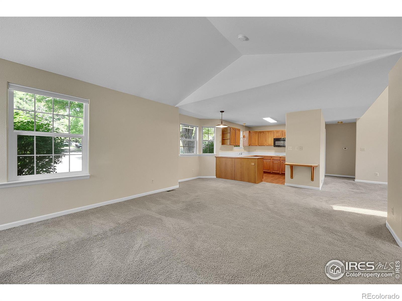 MLS Image #13 for 3132  concord way,longmont, Colorado