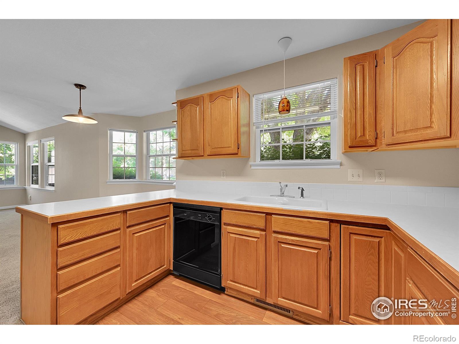 MLS Image #16 for 3132  concord way,longmont, Colorado