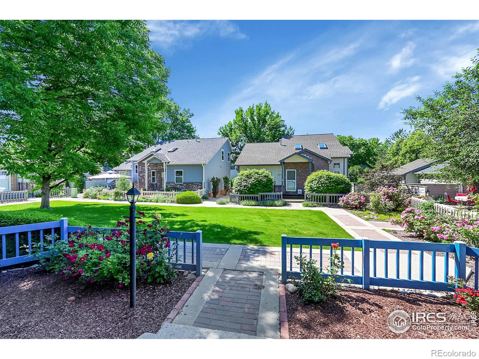 MLS Image #4 for 3132  concord way,longmont, Colorado