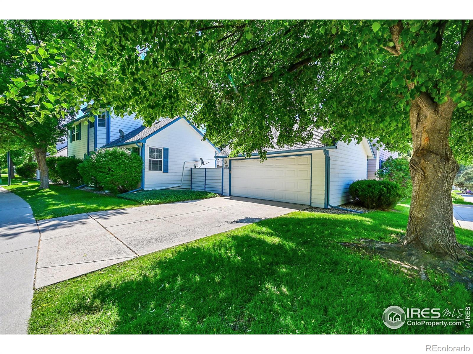 MLS Image #5 for 3132  concord way,longmont, Colorado