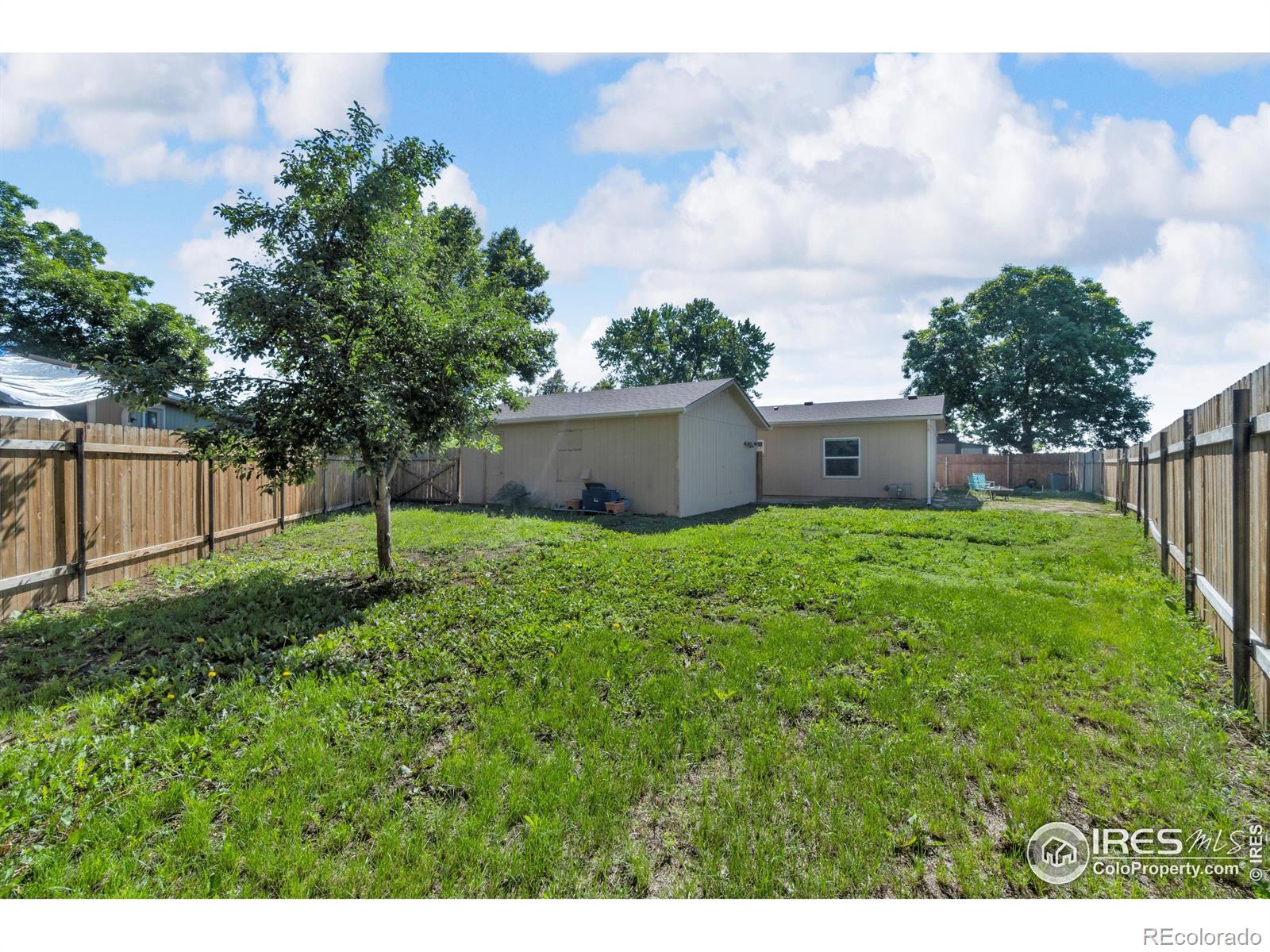MLS Image #18 for 8513  sawtooth court,fort collins, Colorado