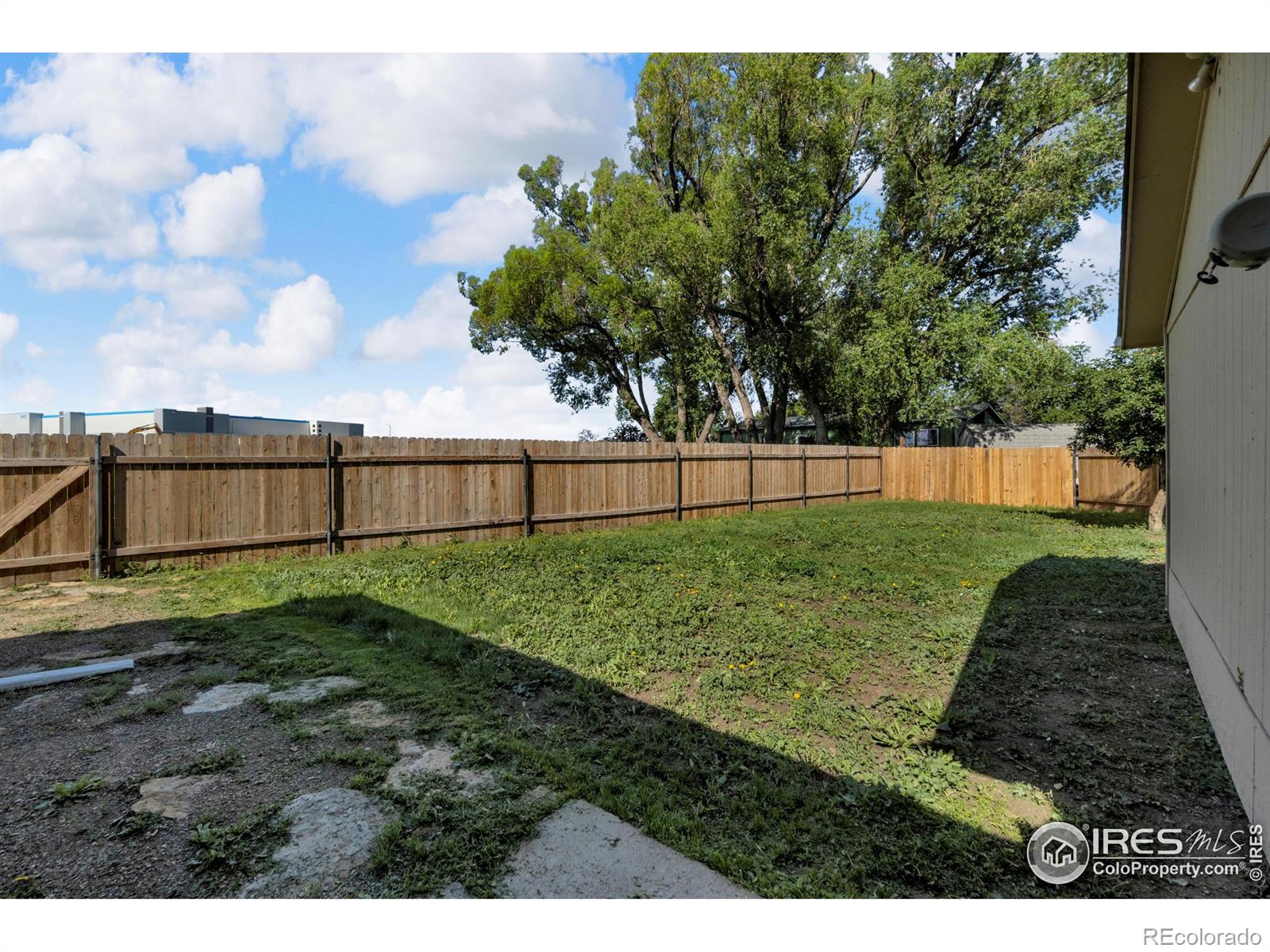 MLS Image #19 for 8513  sawtooth court,fort collins, Colorado