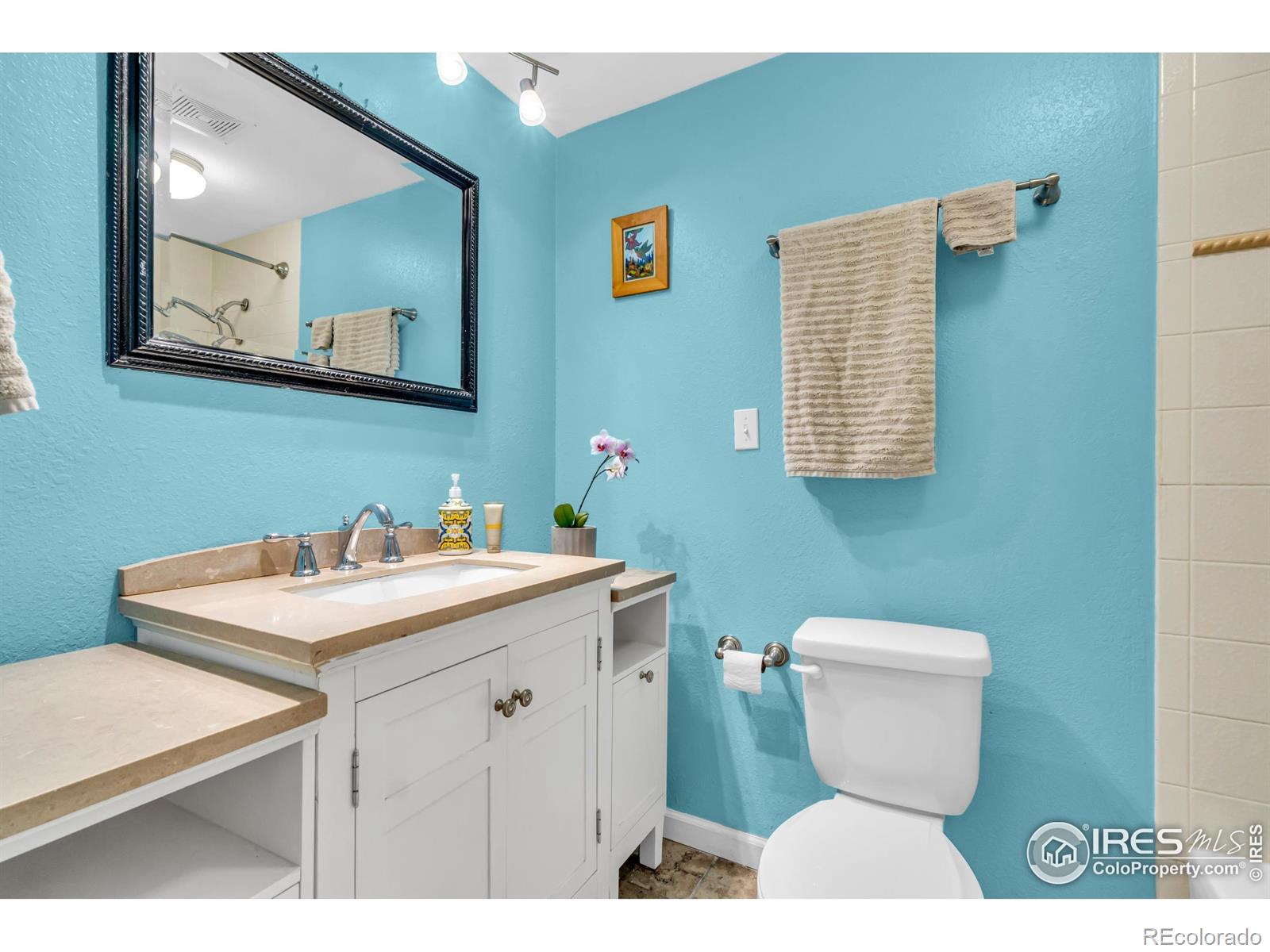 MLS Image #9 for 8513  sawtooth court,fort collins, Colorado