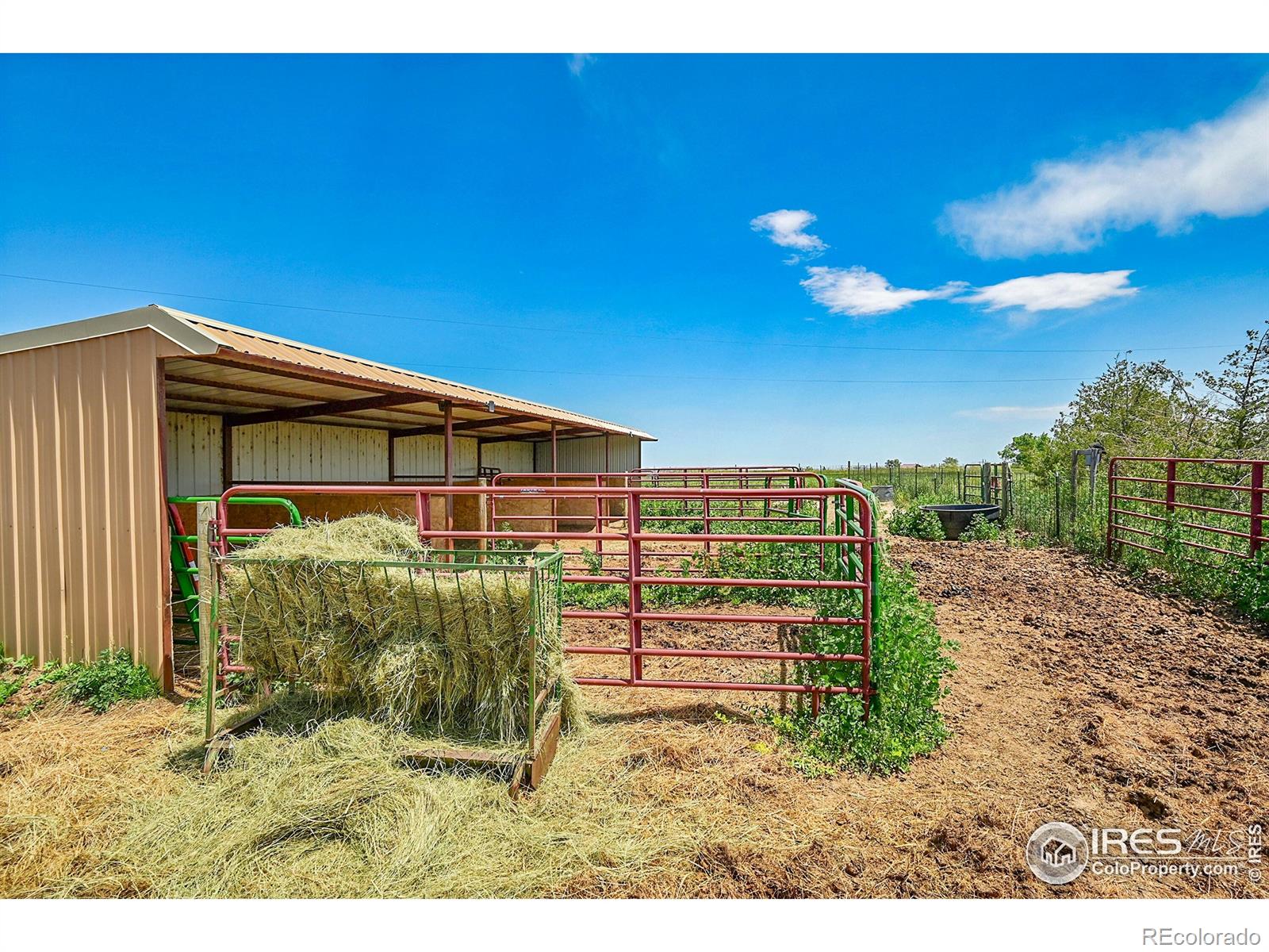 MLS Image #31 for 18247  county road 22 ,fort lupton, Colorado
