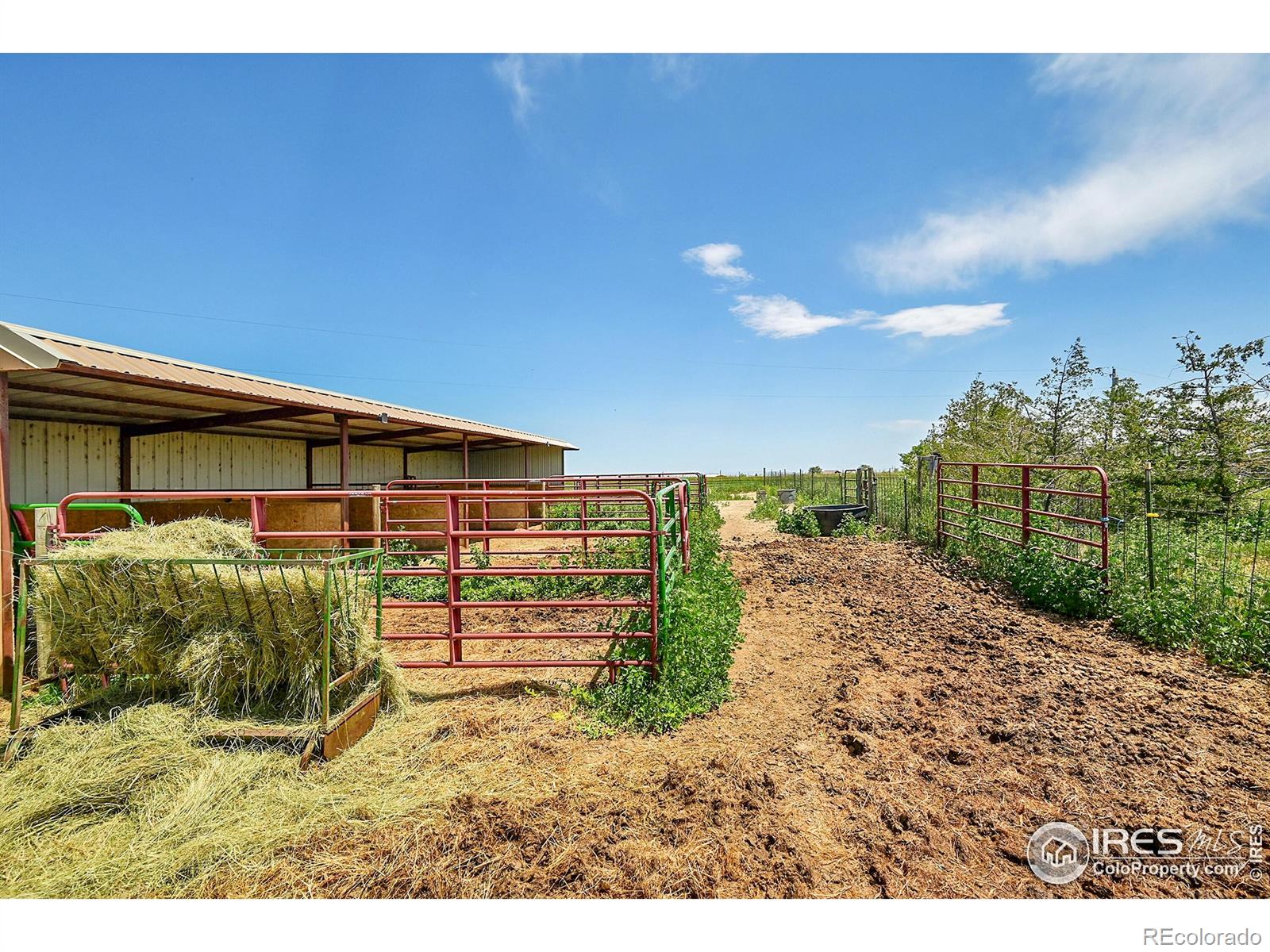 MLS Image #36 for 18247  county road 22 ,fort lupton, Colorado
