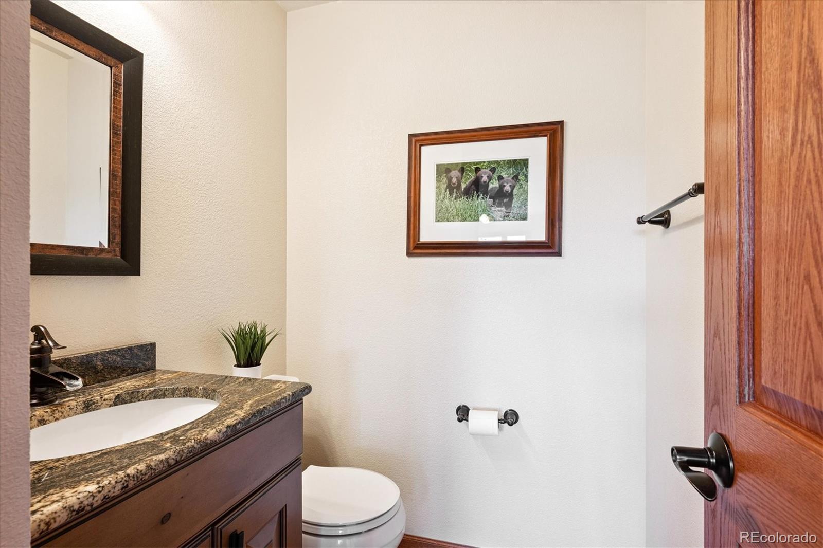MLS Image #16 for 984  shadow mountain drive,highlands ranch, Colorado