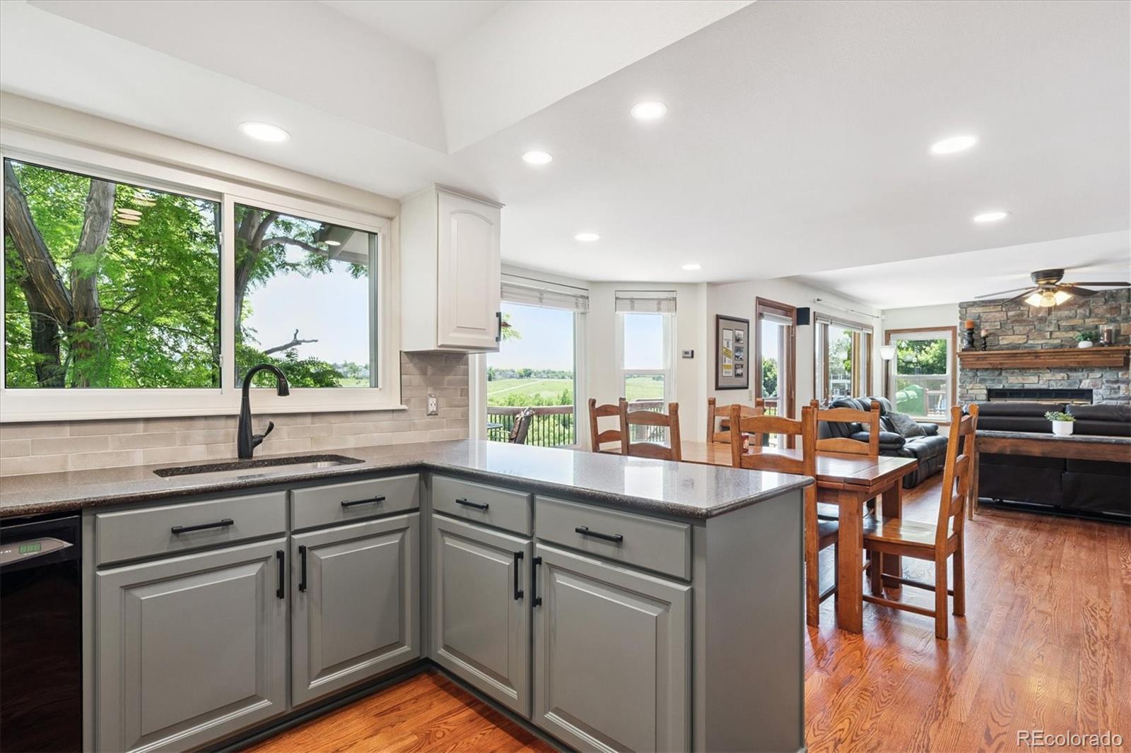 MLS Image #7 for 984  shadow mountain drive,highlands ranch, Colorado