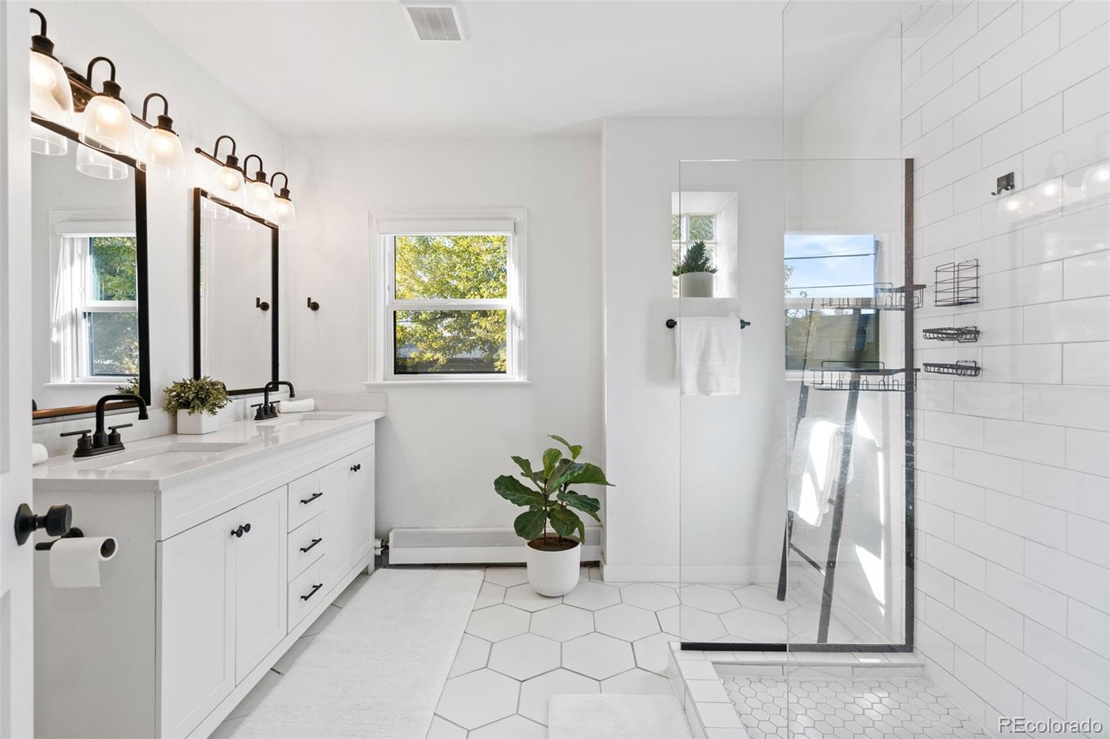 MLS Image #12 for 1600  balsam street,lakewood, Colorado