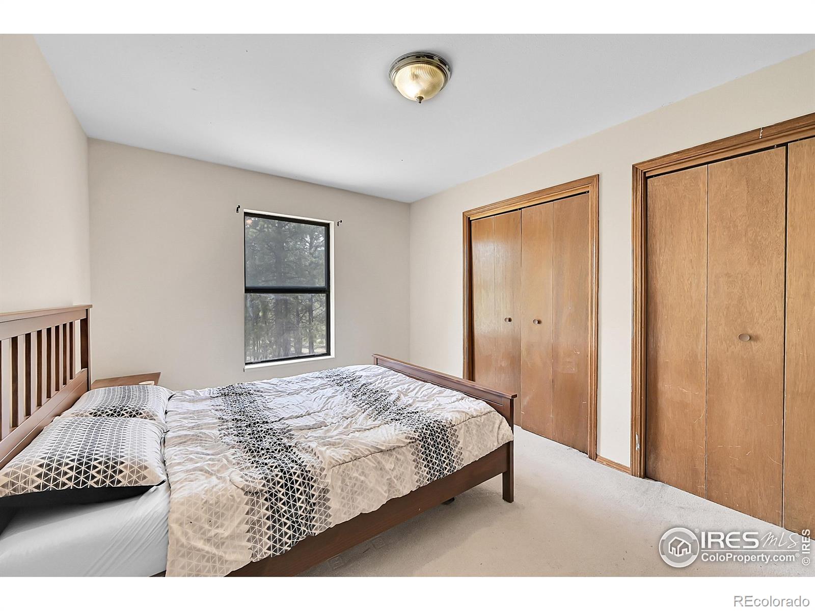 MLS Image #16 for 56  bounty hunter lane,bailey, Colorado