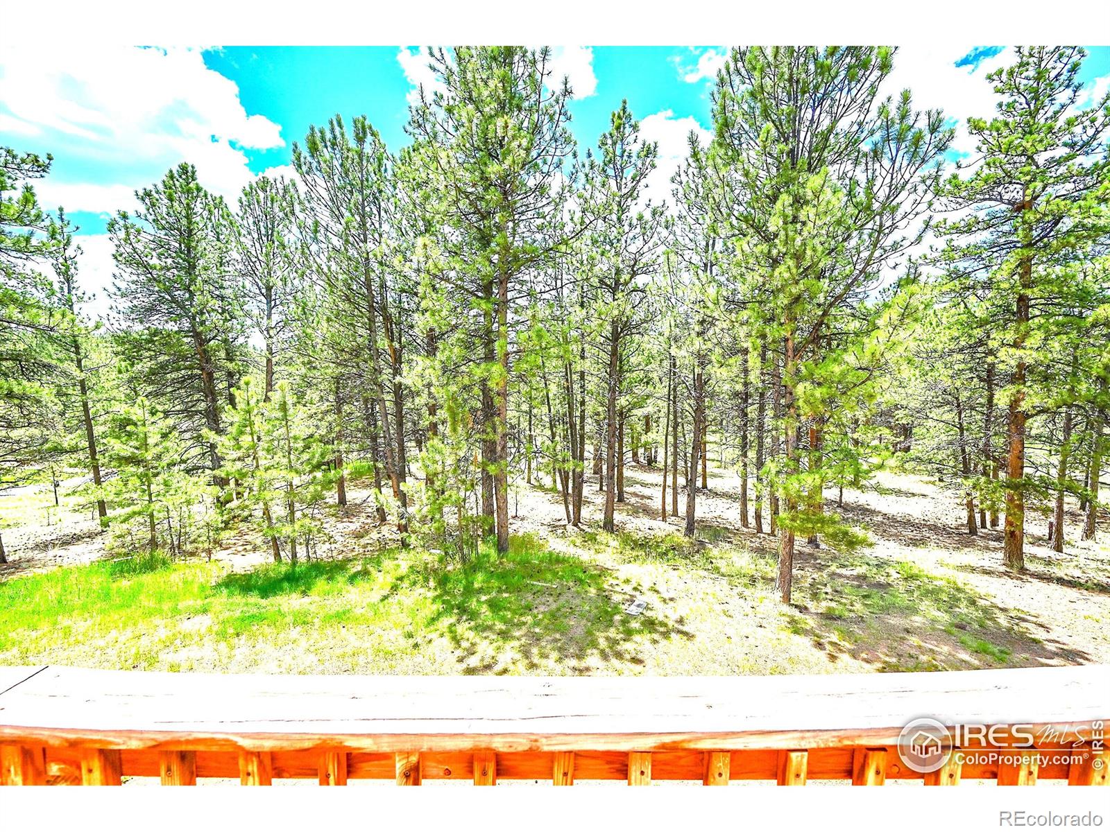 MLS Image #2 for 56  bounty hunter lane,bailey, Colorado