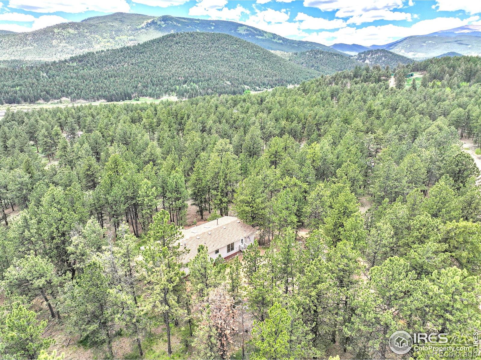 MLS Image #24 for 56  bounty hunter lane,bailey, Colorado