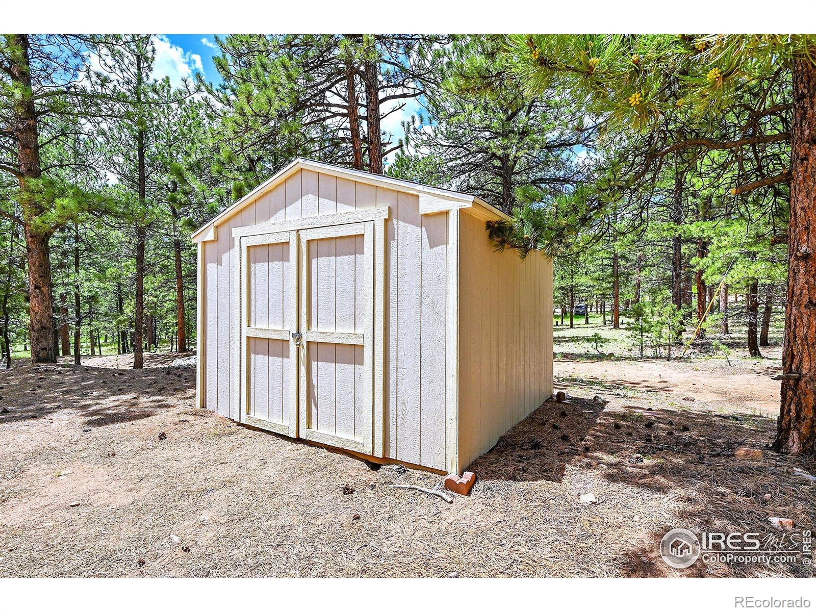 MLS Image #5 for 56  bounty hunter lane,bailey, Colorado