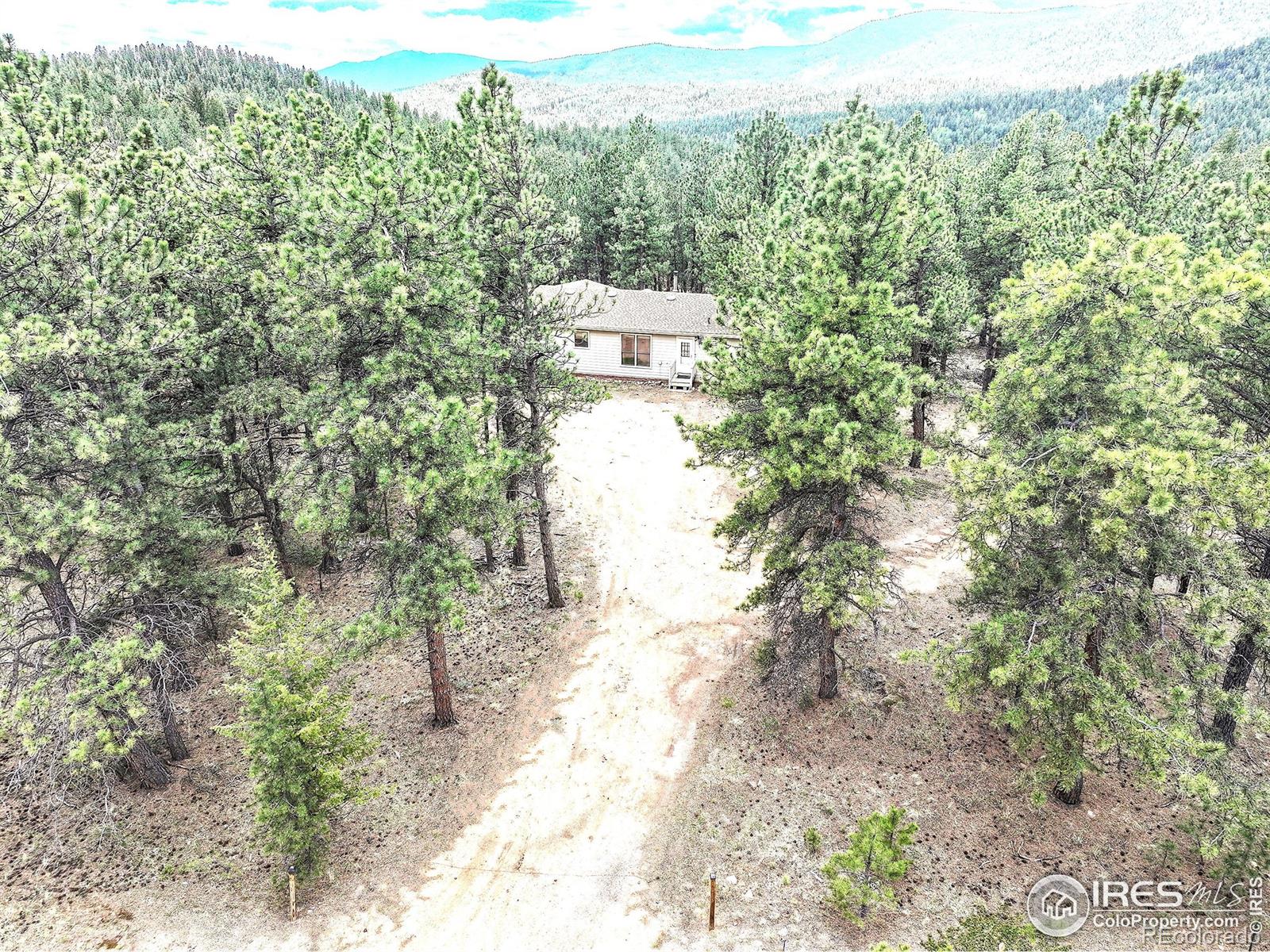 MLS Image #6 for 56  bounty hunter lane,bailey, Colorado
