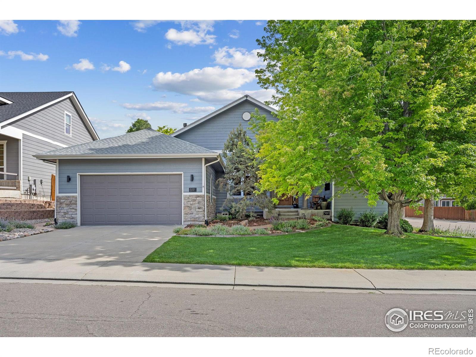 MLS Image #1 for 591  brookside drive,longmont, Colorado
