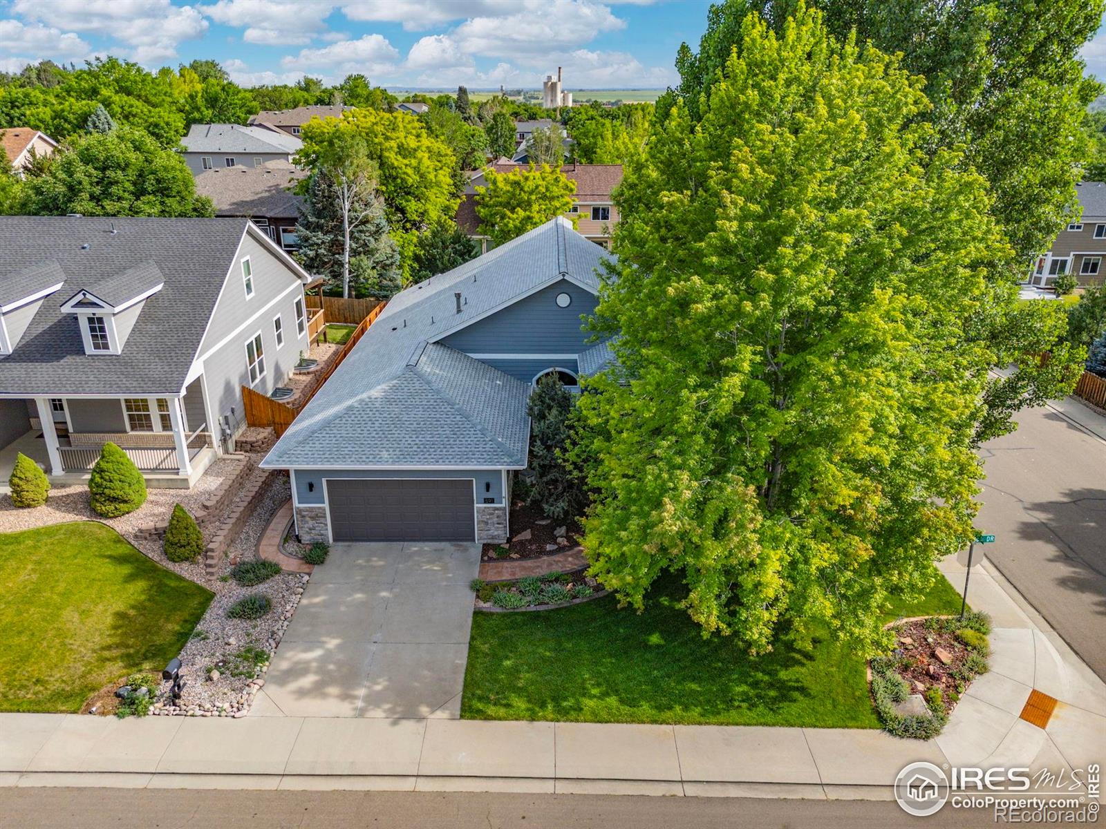MLS Image #3 for 591  brookside drive,longmont, Colorado