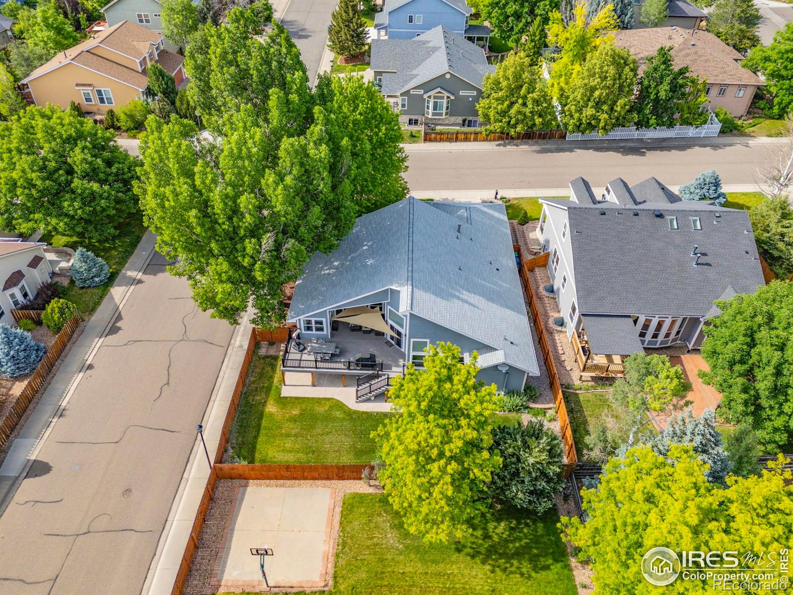 MLS Image #36 for 591  brookside drive,longmont, Colorado