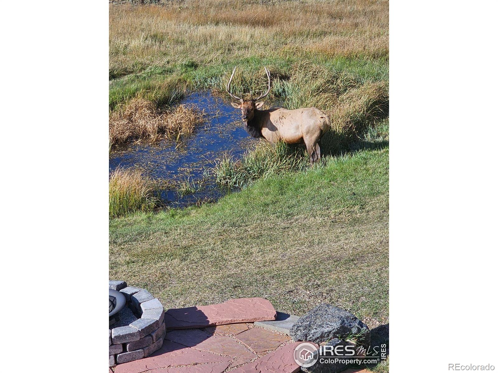 MLS Image #4 for 351  whispering pines drive,estes park, Colorado
