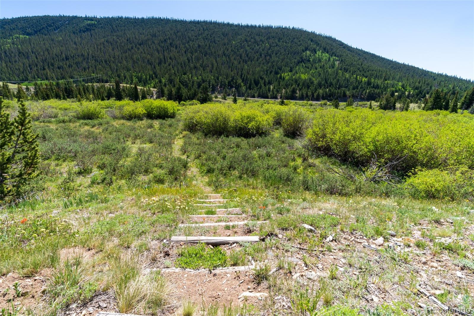 MLS Image #26 for 696  cr 6 ,alma, Colorado