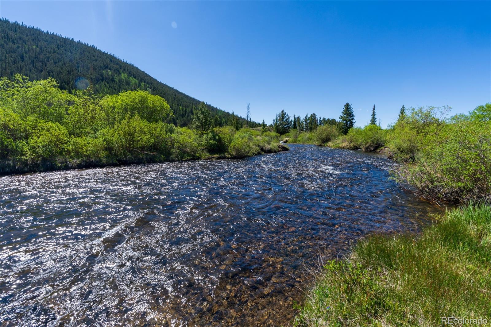 MLS Image #27 for 696  cr 6 ,alma, Colorado