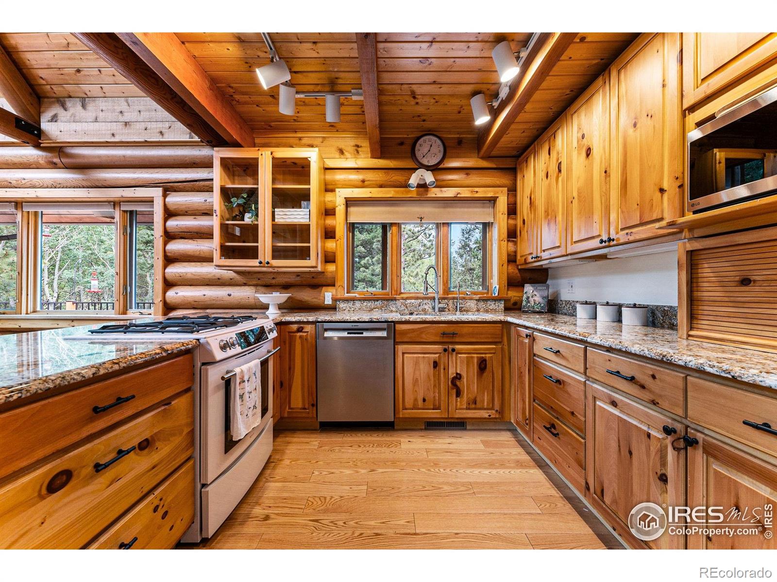 MLS Image #12 for 178  hazelwood drive,nederland, Colorado