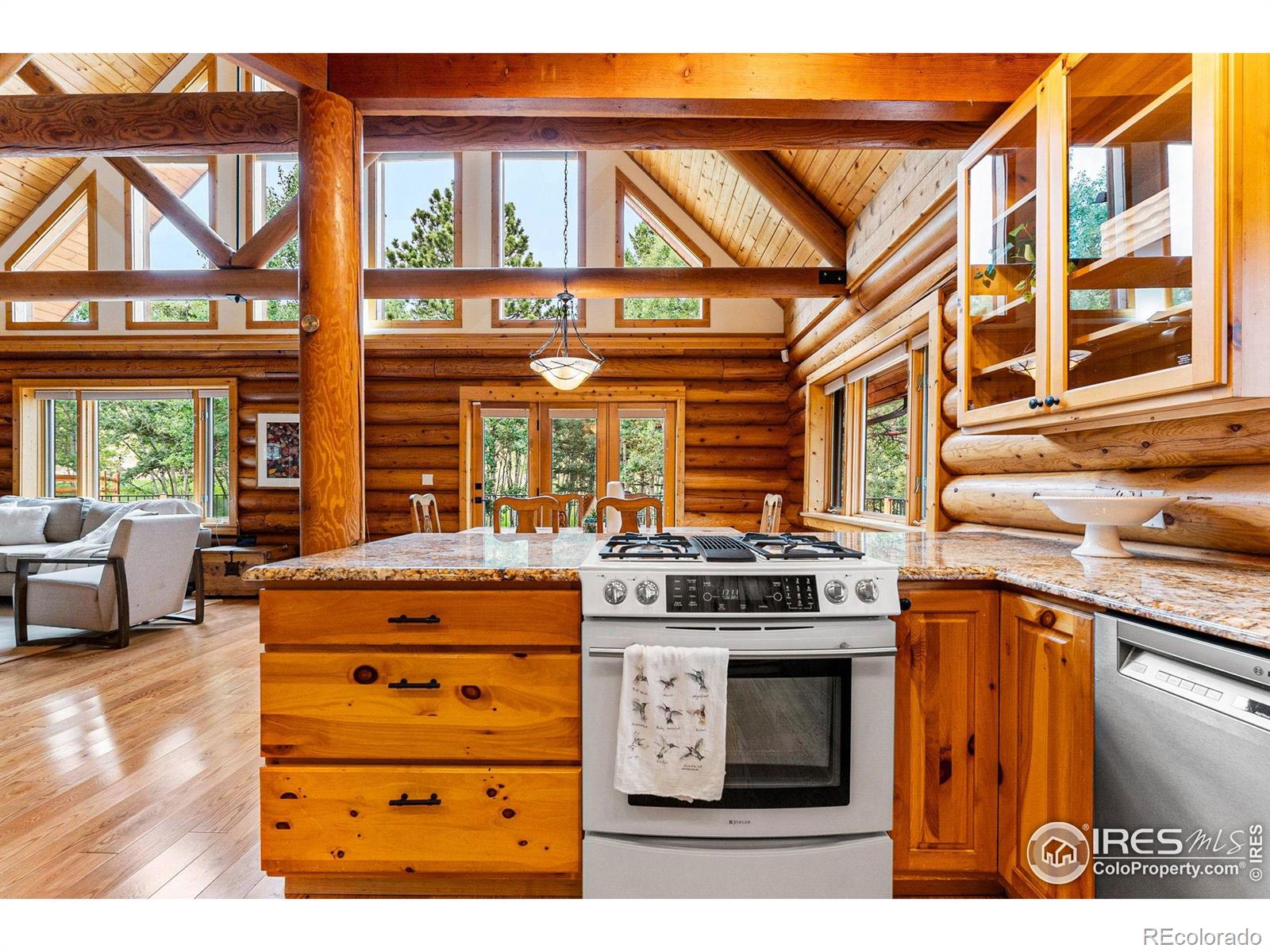 MLS Image #13 for 178  hazelwood drive,nederland, Colorado