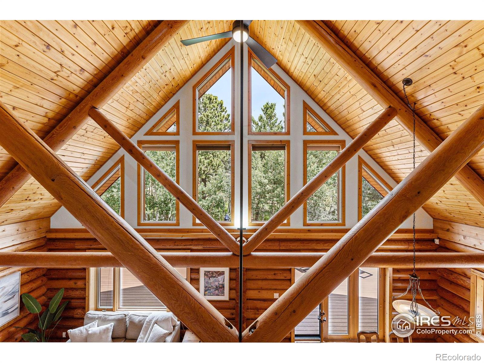 MLS Image #15 for 178  hazelwood drive,nederland, Colorado