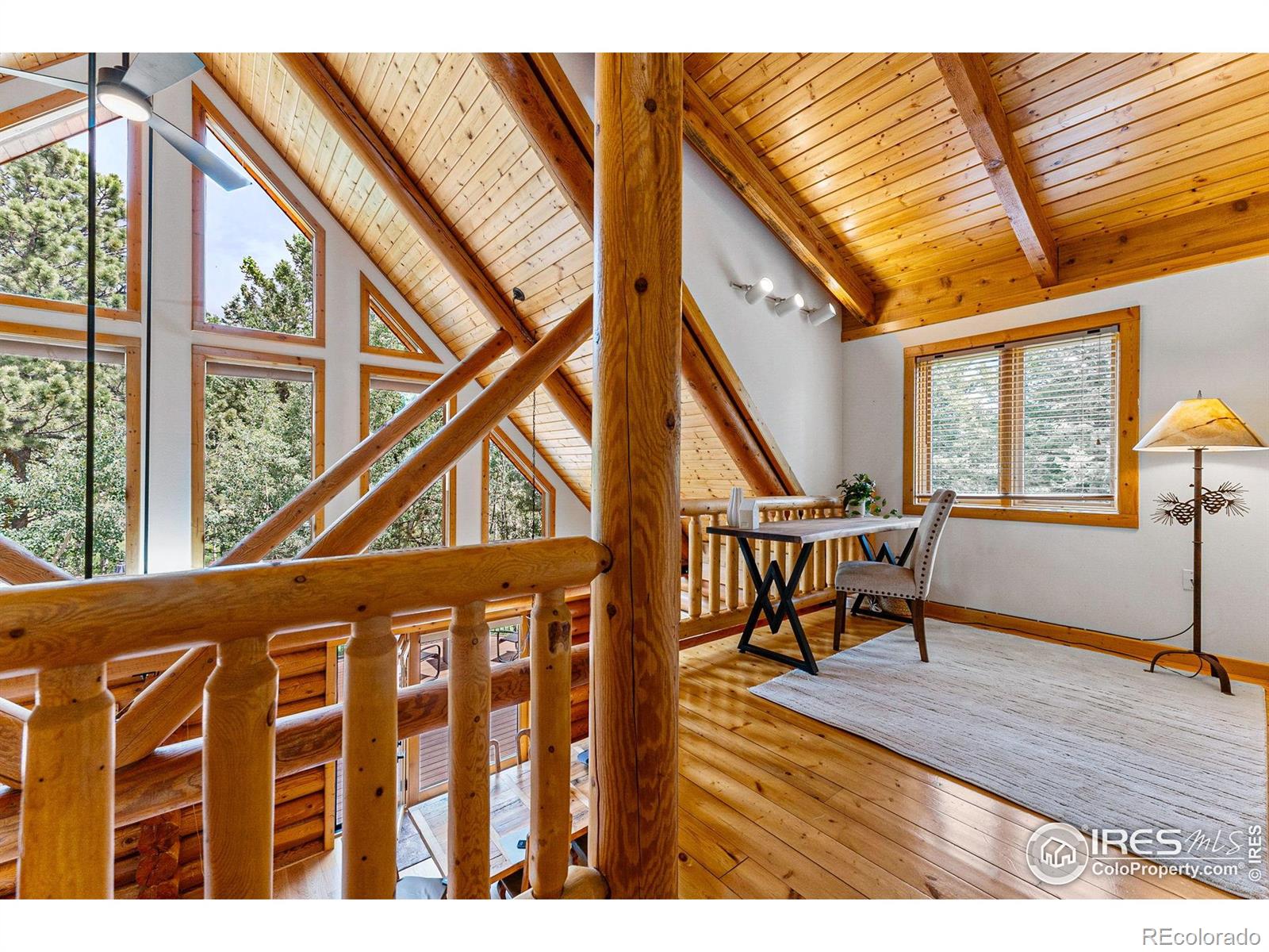 MLS Image #16 for 178  hazelwood drive,nederland, Colorado